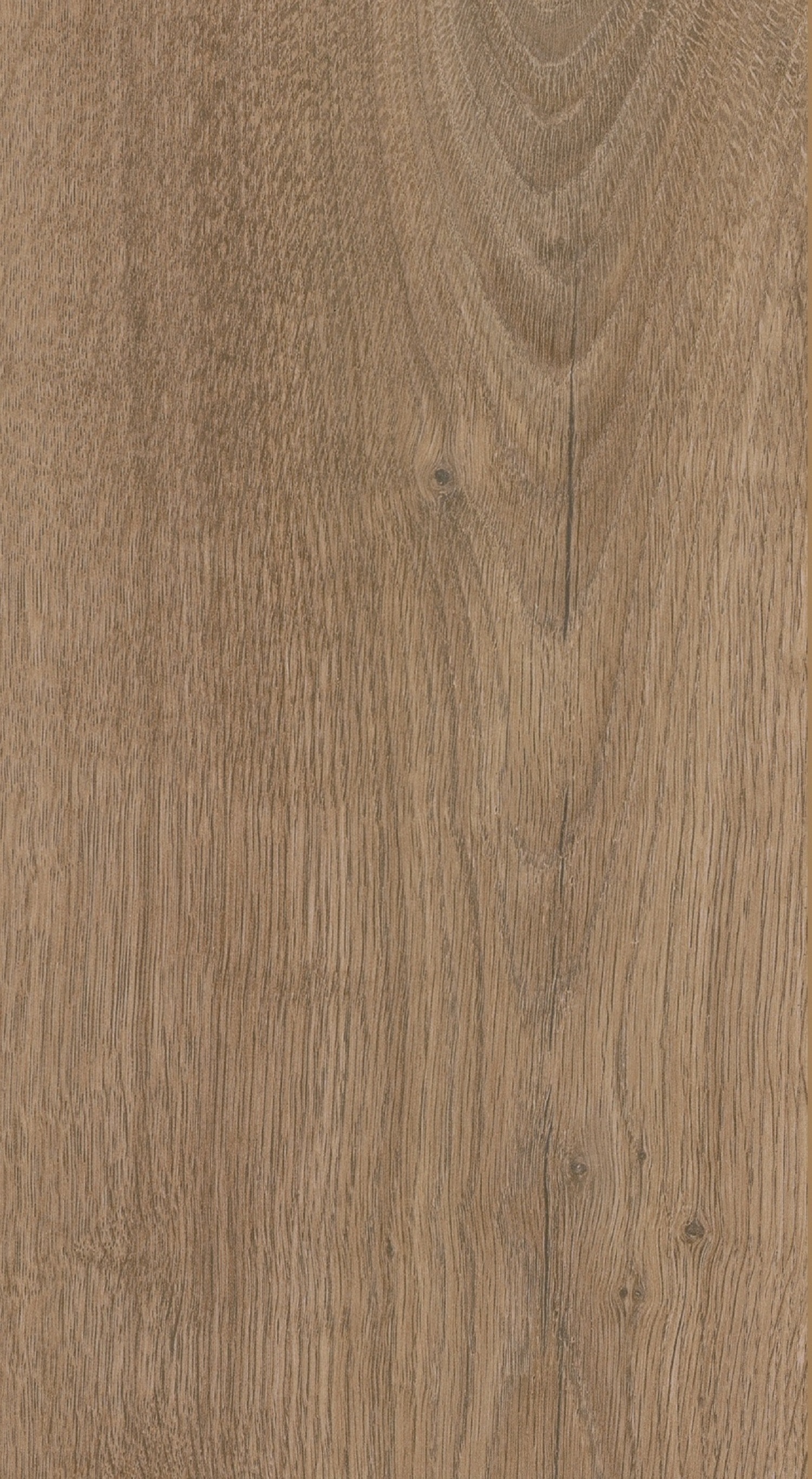 Windsor Light Oak 8mm Laminate Flooring - Sample
