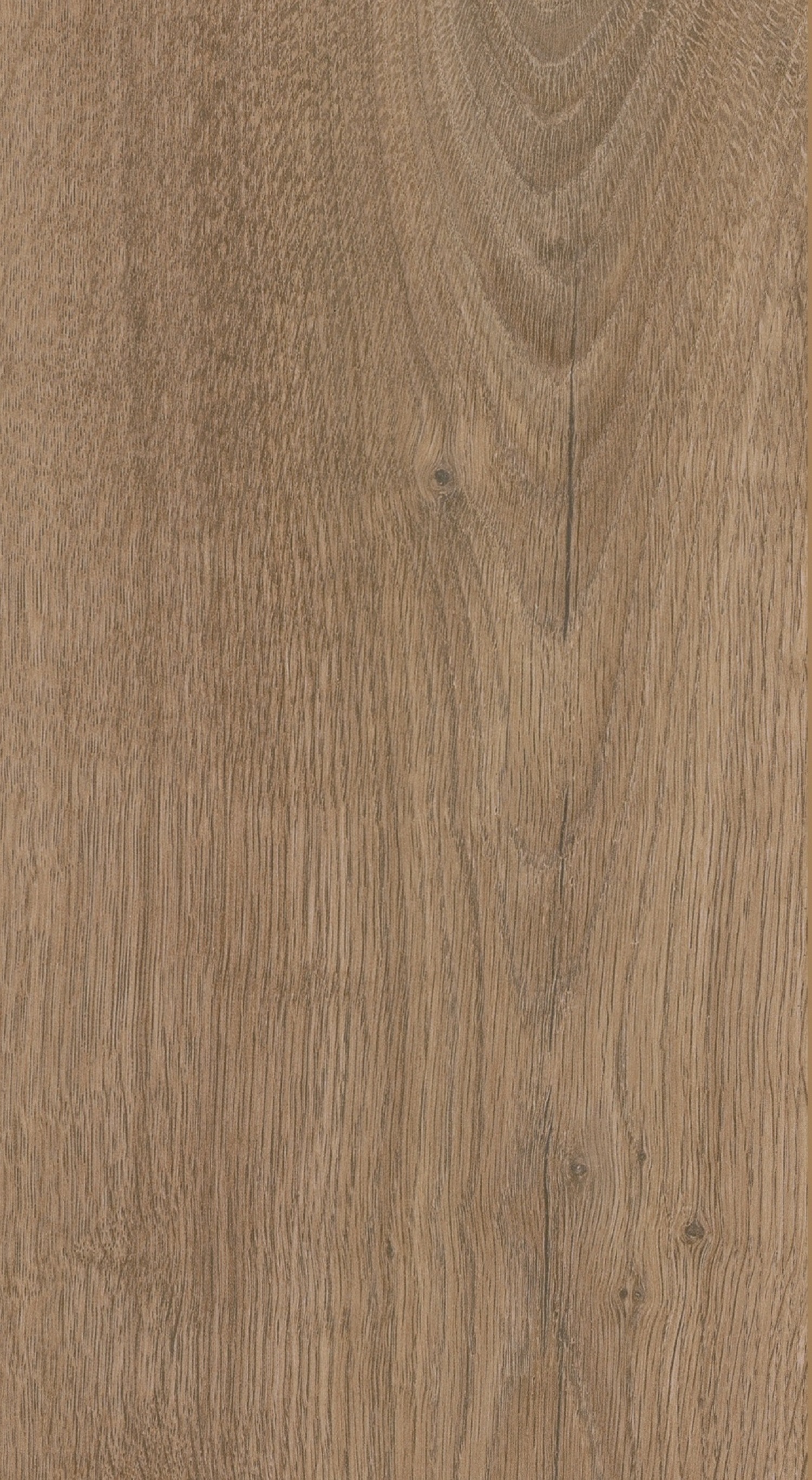 Windsor Light Oak 8mm Laminate Flooring - Sample