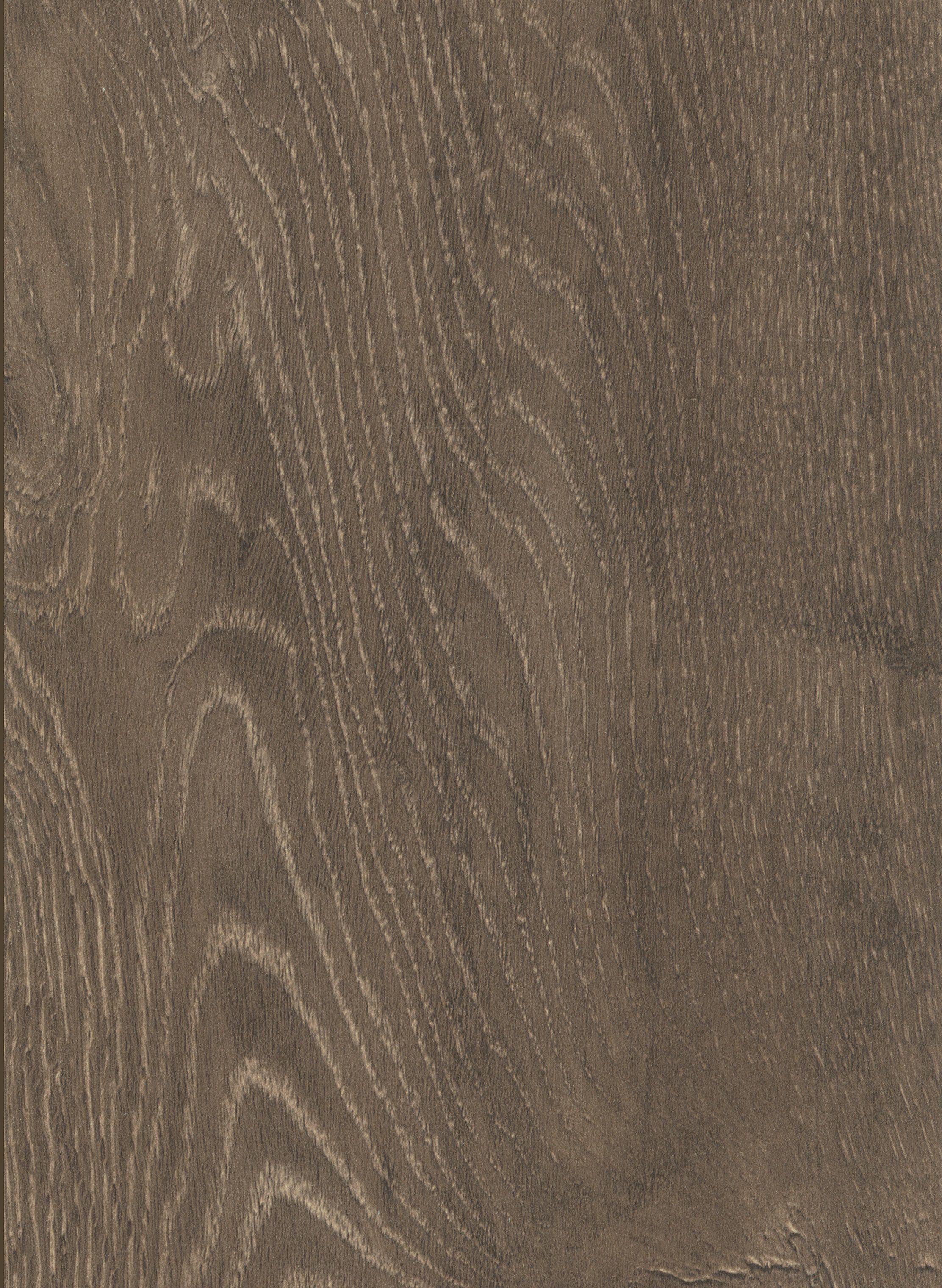 Galloway Brown Oak 8mm Laminate Flooring - Sample