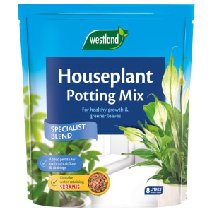 Westland Houseplant Potting Mix (Enriched With Seramis)