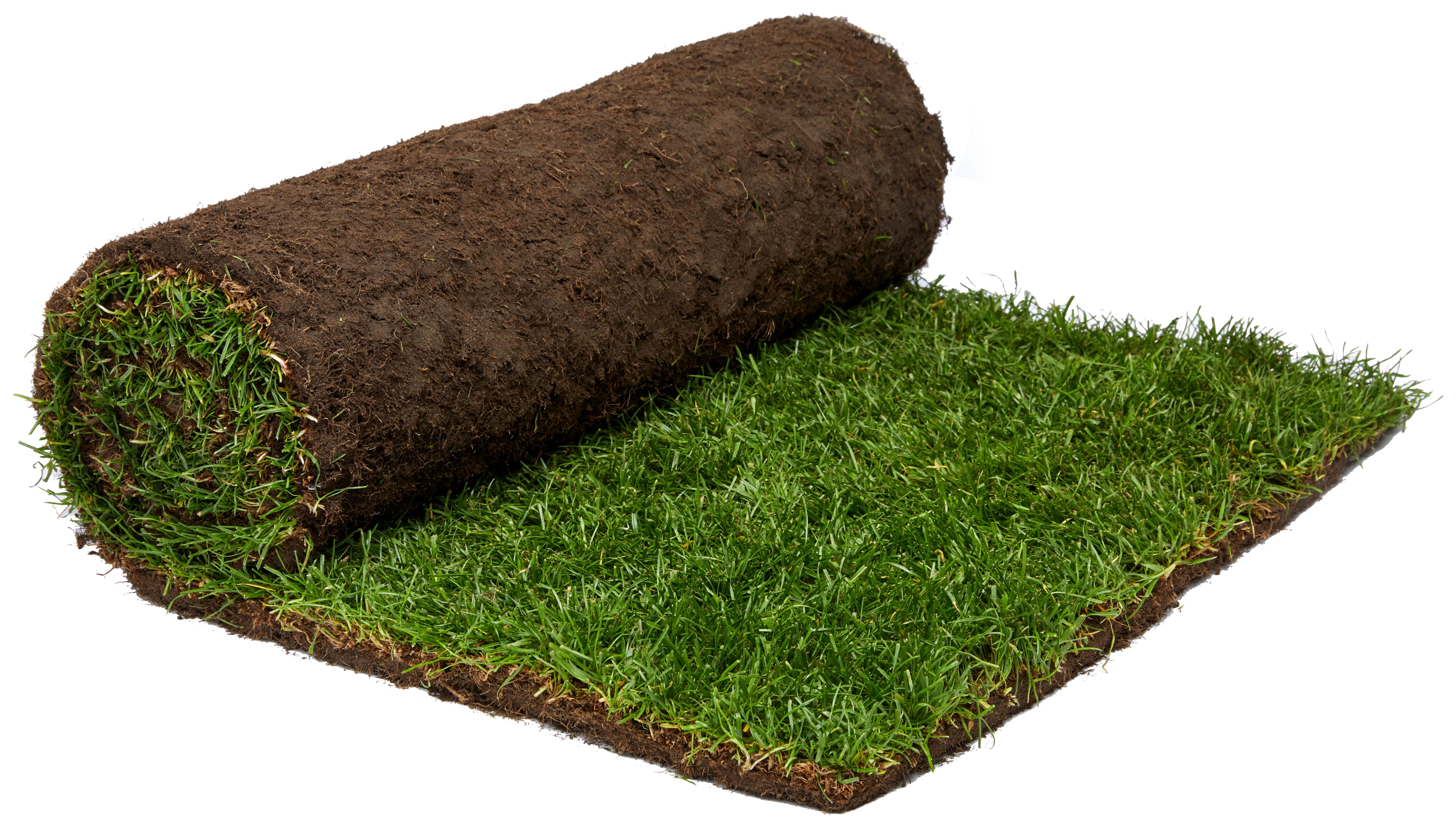 Image of Rolawn Medallion Grass Turf - 1m² rolls x 30