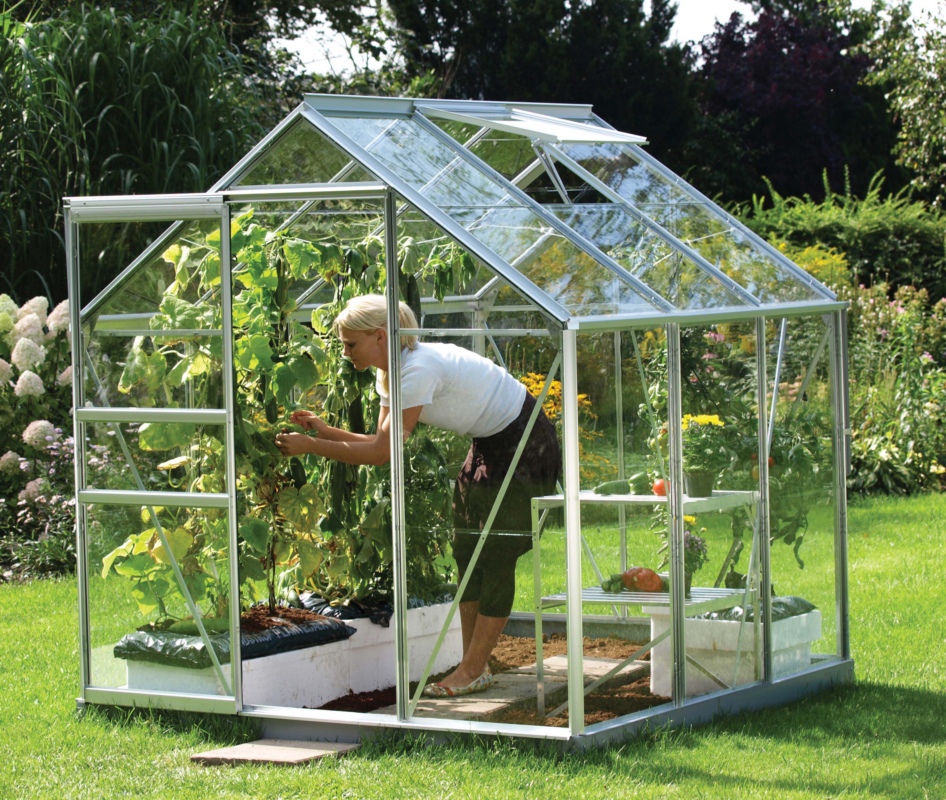 Image of Vitavia Venus 6 x 6ft Toughened Glass Greenhouse