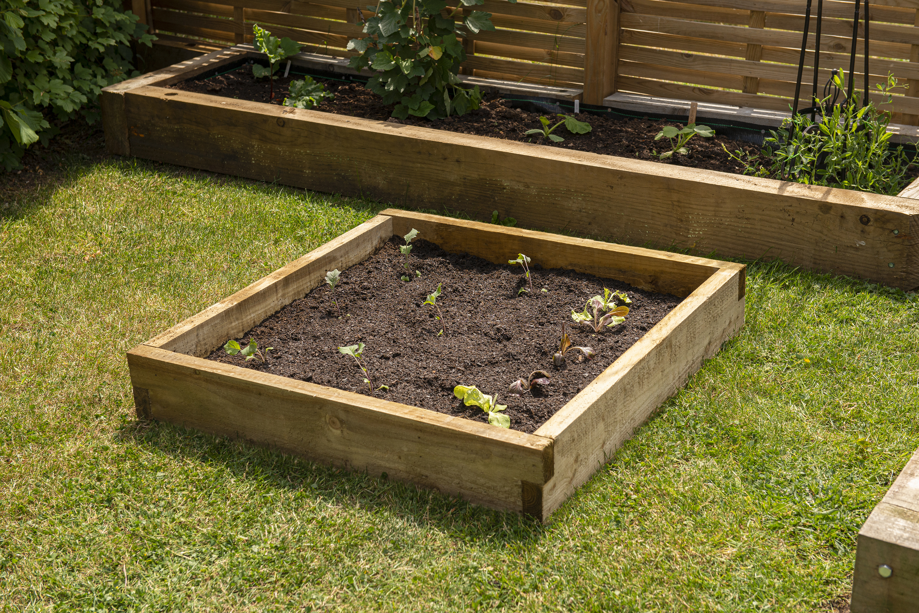 Forest Garden Caledonian Square Raised Bed - 140 x 900 x 900mm