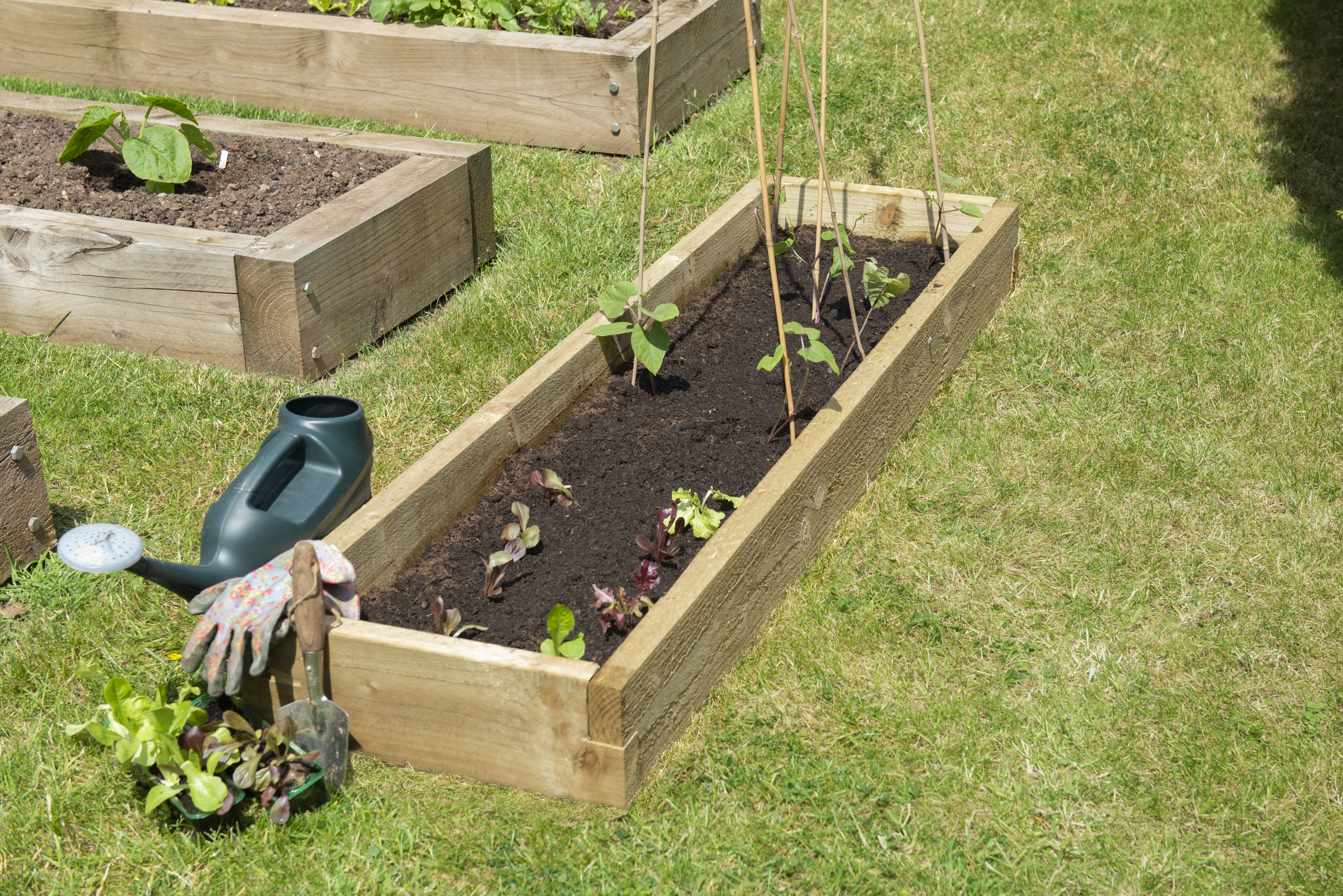 Image of Forest Garden Caledonian Long Raised Bed - 140 x 450 x 1800mm