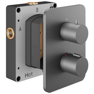 Hadleigh Concealed 2 Outlet Round Thermostatic Shower Valve - Matt Anthracite