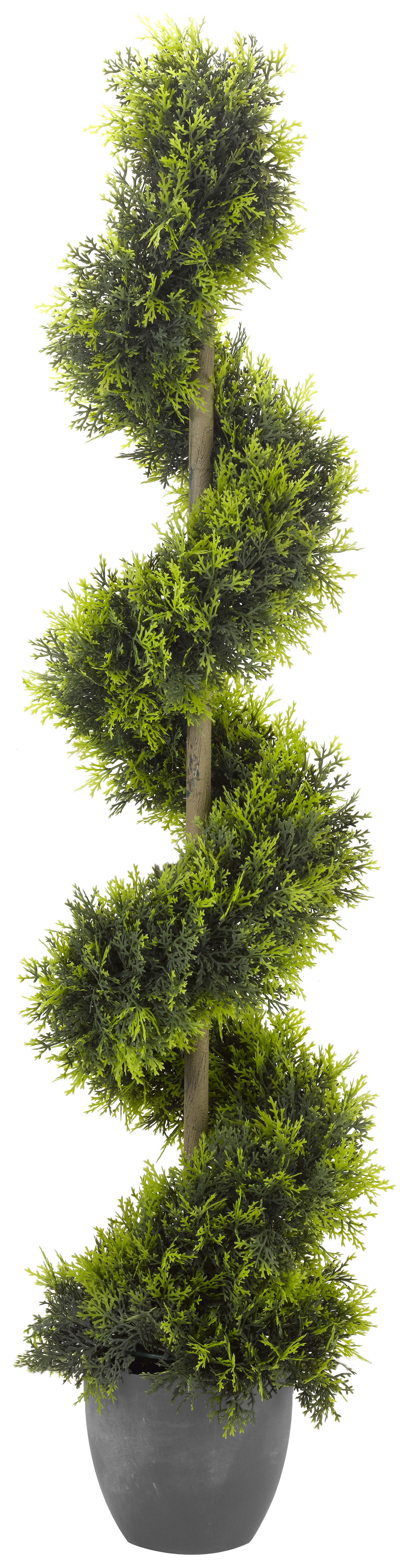 Image of Smart Garden Cypress Topiary Twirl Tree - 120cm