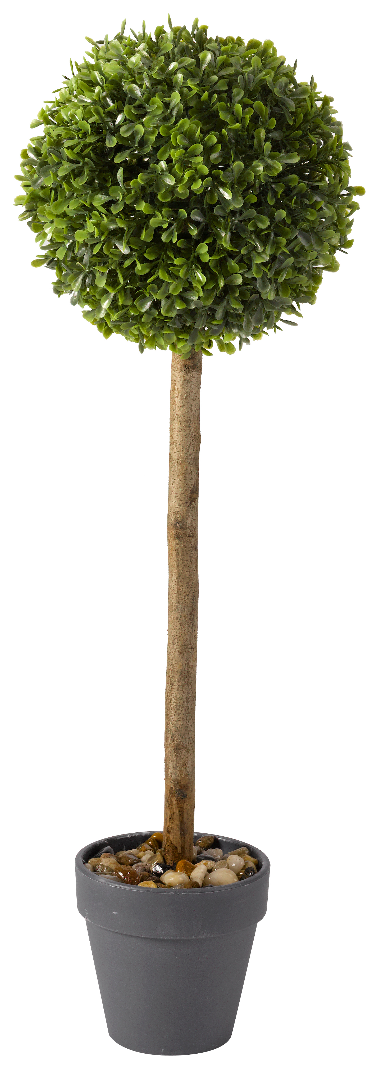 Image of Smart Garden Uno Topiary Tree - 40cm - Pack of 2