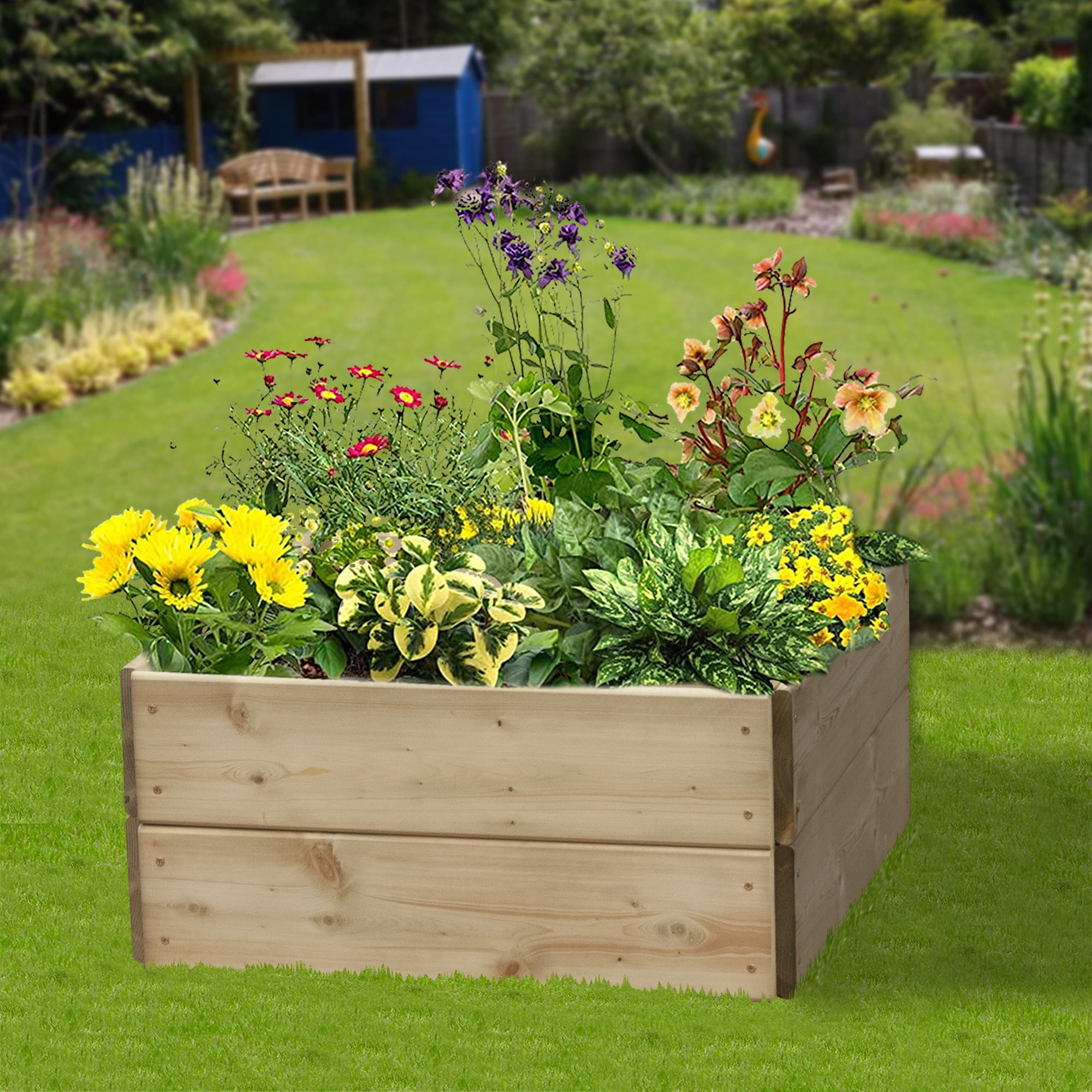 Greena Square Raised Bed 300 x 600 x 600mm Wickes.co.uk