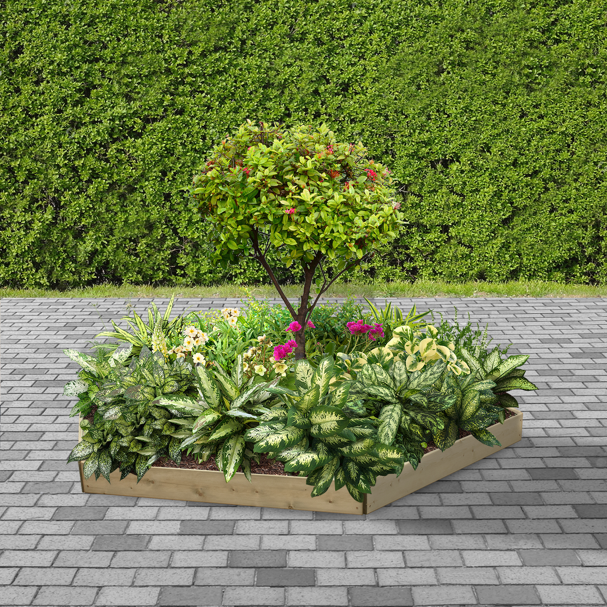 Image of Greena Hexagonal Raised Bed - 150 x 2400 x 2400mm