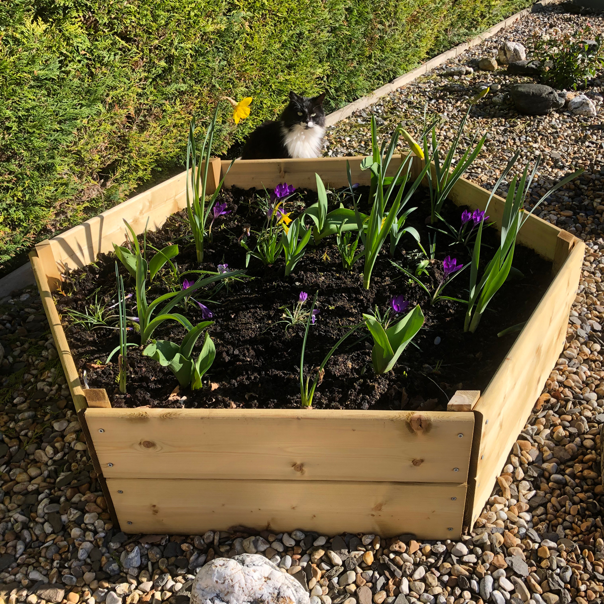 Image of Greena Hexagonal Raised Bed - 300 x 1200 x 1200mm