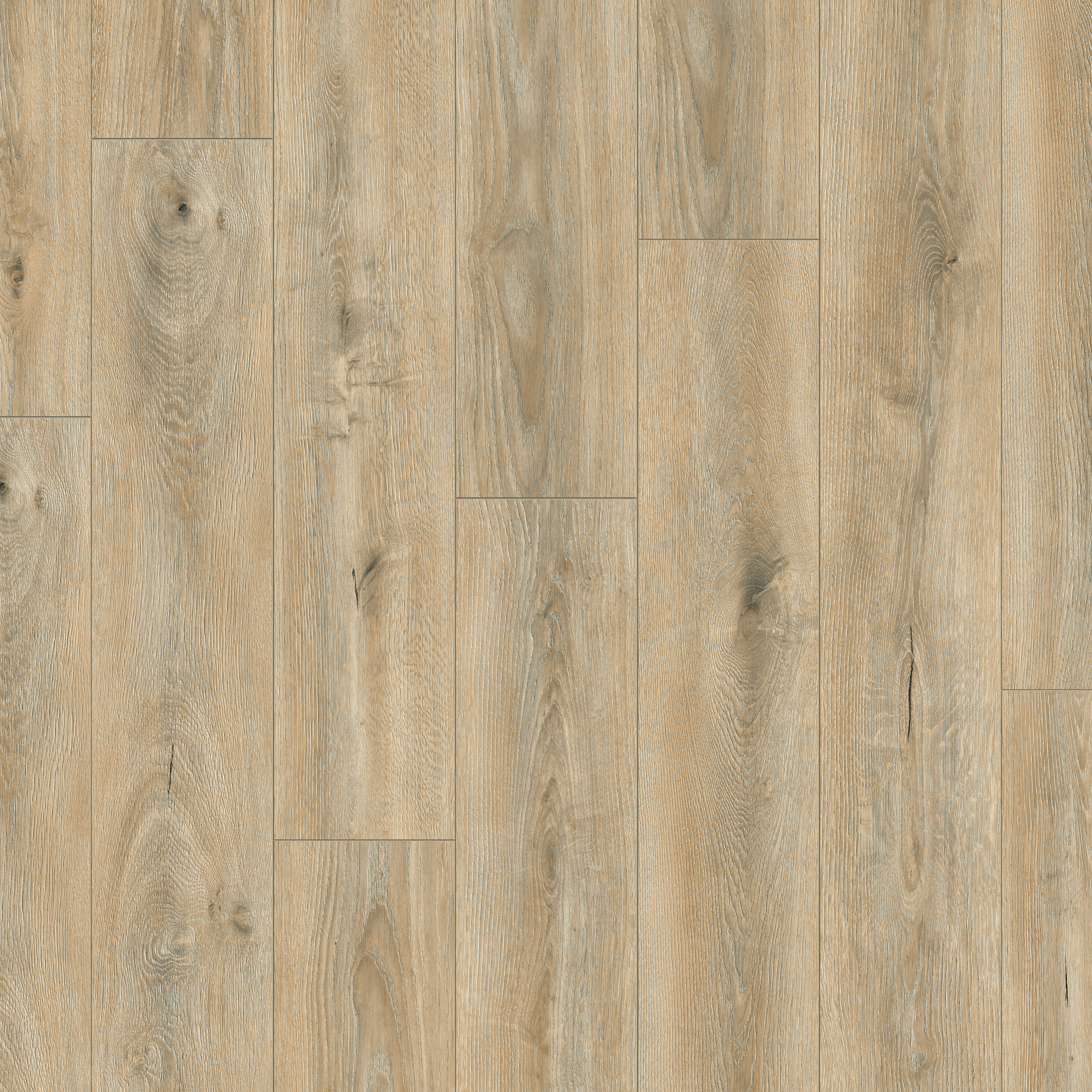 Image of Atlantic Tortilla Cashmere Oak 8mm Moisture Resistant Laminate Flooring - 2.22m2