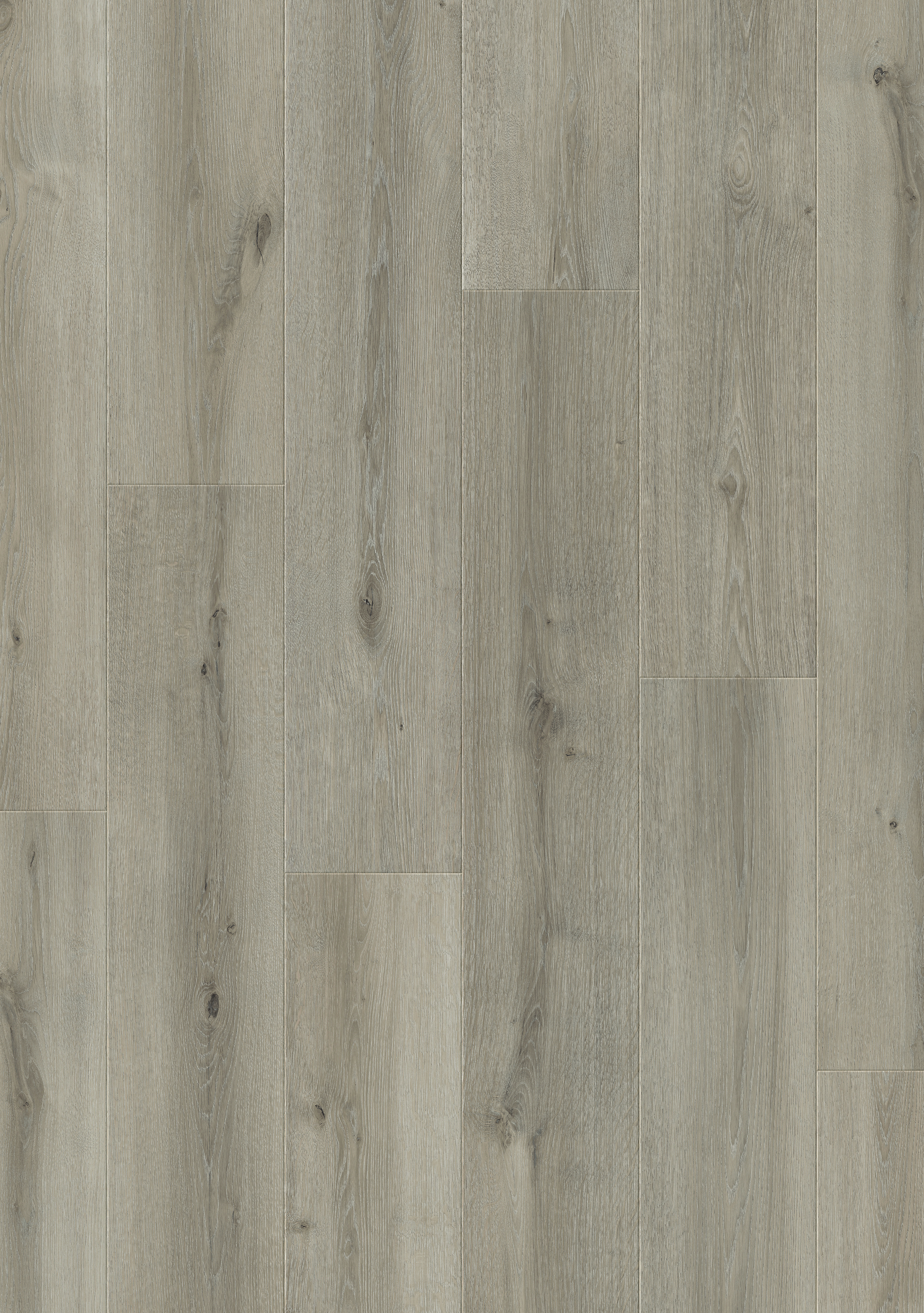 Image of Quick-Step Salto Mayfair Light Grey Oak 8mm Water Resistant Laminate Flooring - 2.179m2
