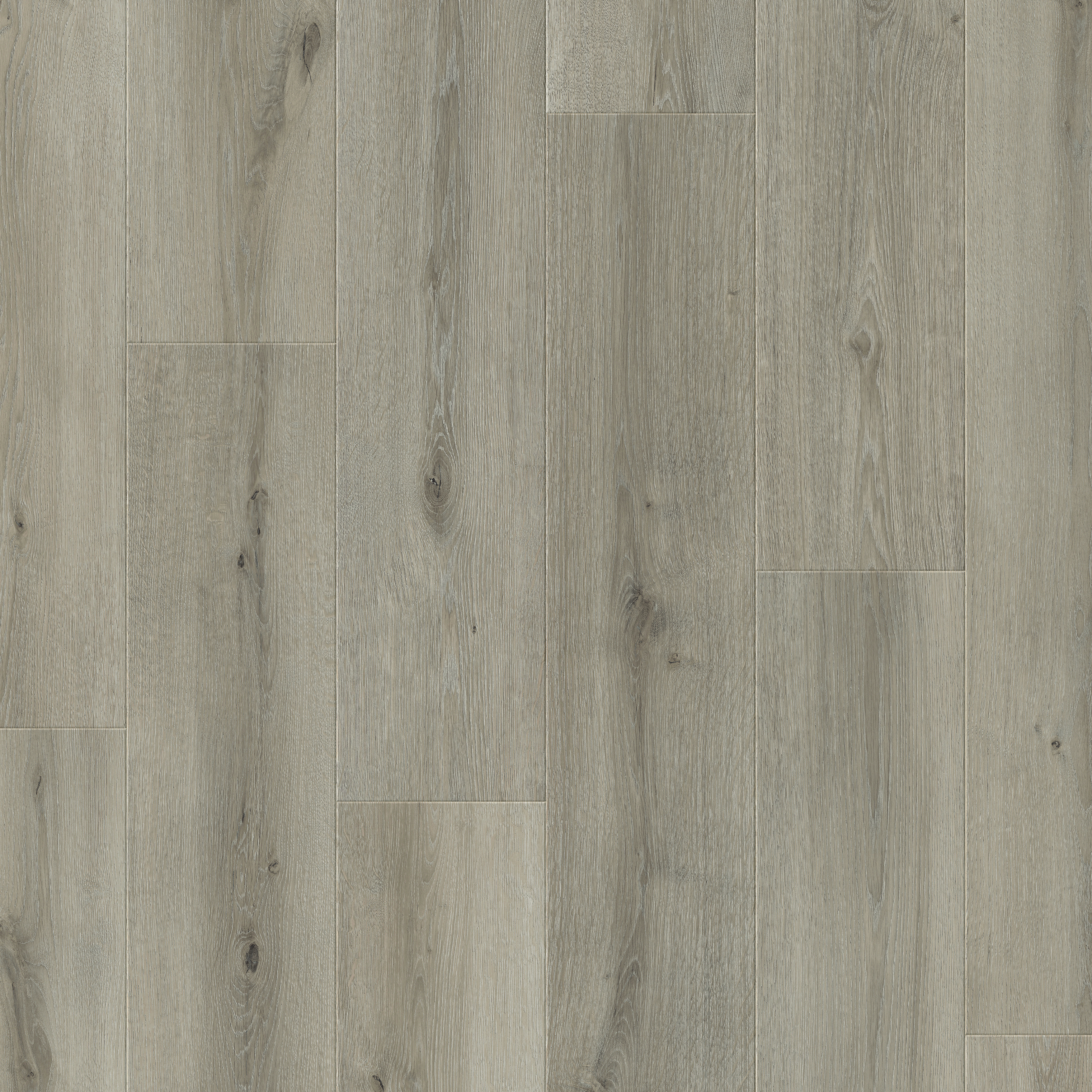 Image of Quick-Step Salto Mayfair Light Grey Oak 8mm Water Resistant Laminate Flooring - 2.179m2