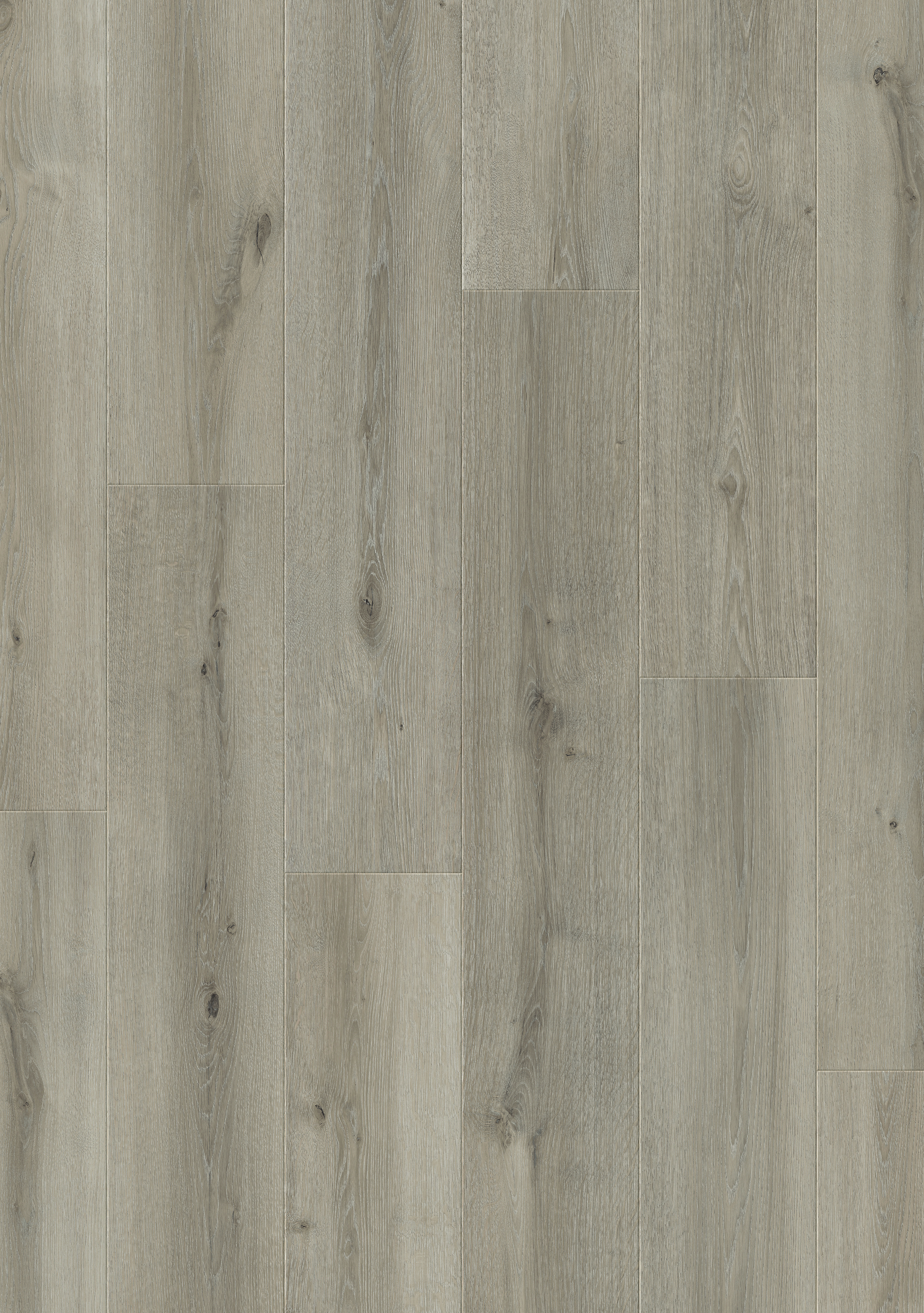 Quick-Step Salto Mayfair Light Grey Oak 8mm Waterproof Laminate Flooring - Sample