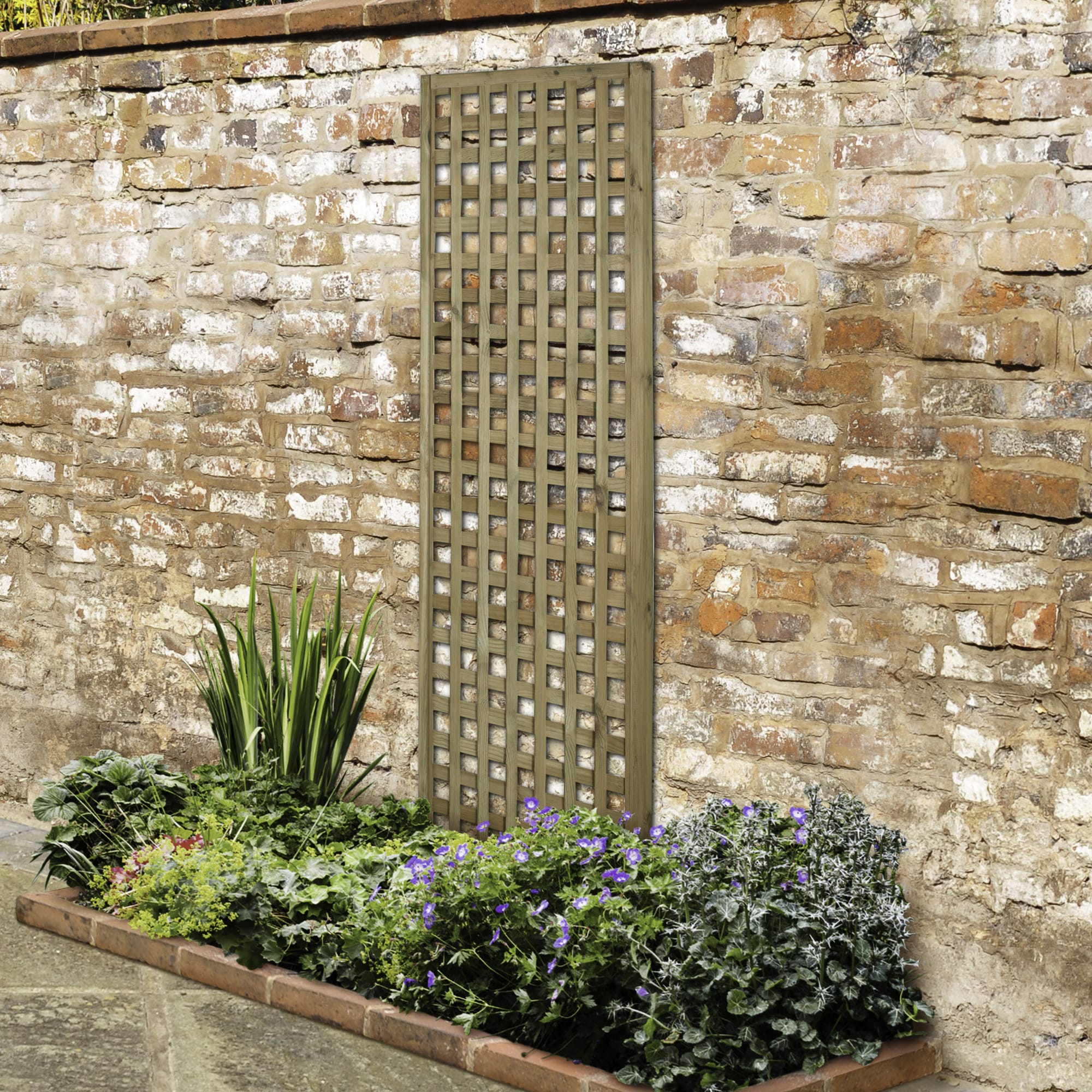 Forest Garden Premium Framed Trellis 1800 x 600mm Wickes.co.uk
