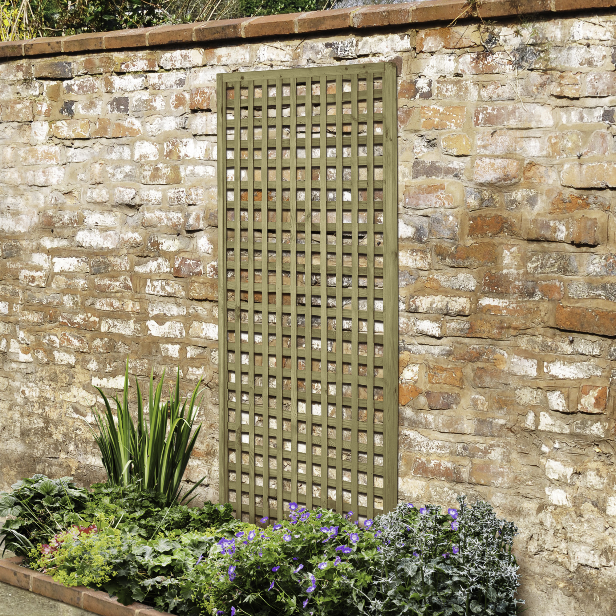 Image of Forest Garden Premium Framed Trellis - 1800 x 900mm - Pack of 10