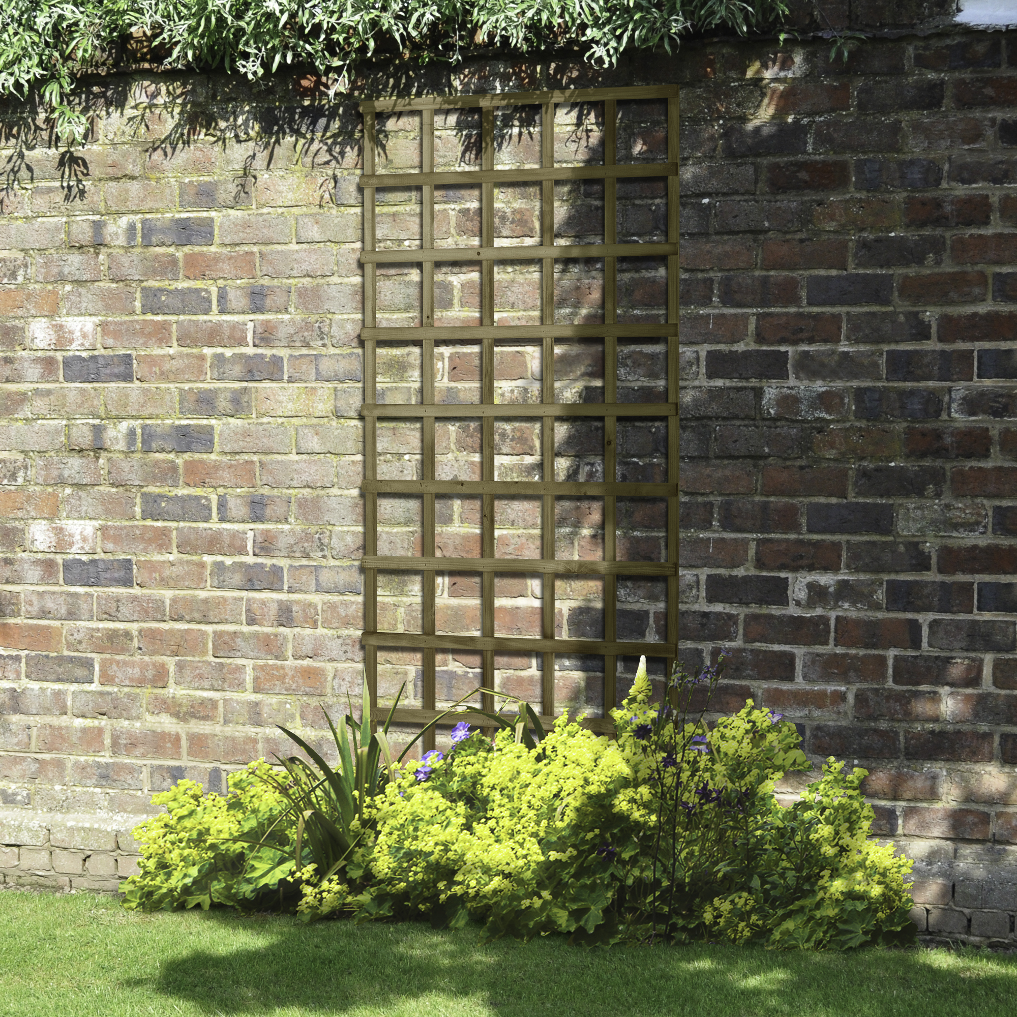 Forest Garden Traditional Trellis - 1800 x 900mm - Pack of 4