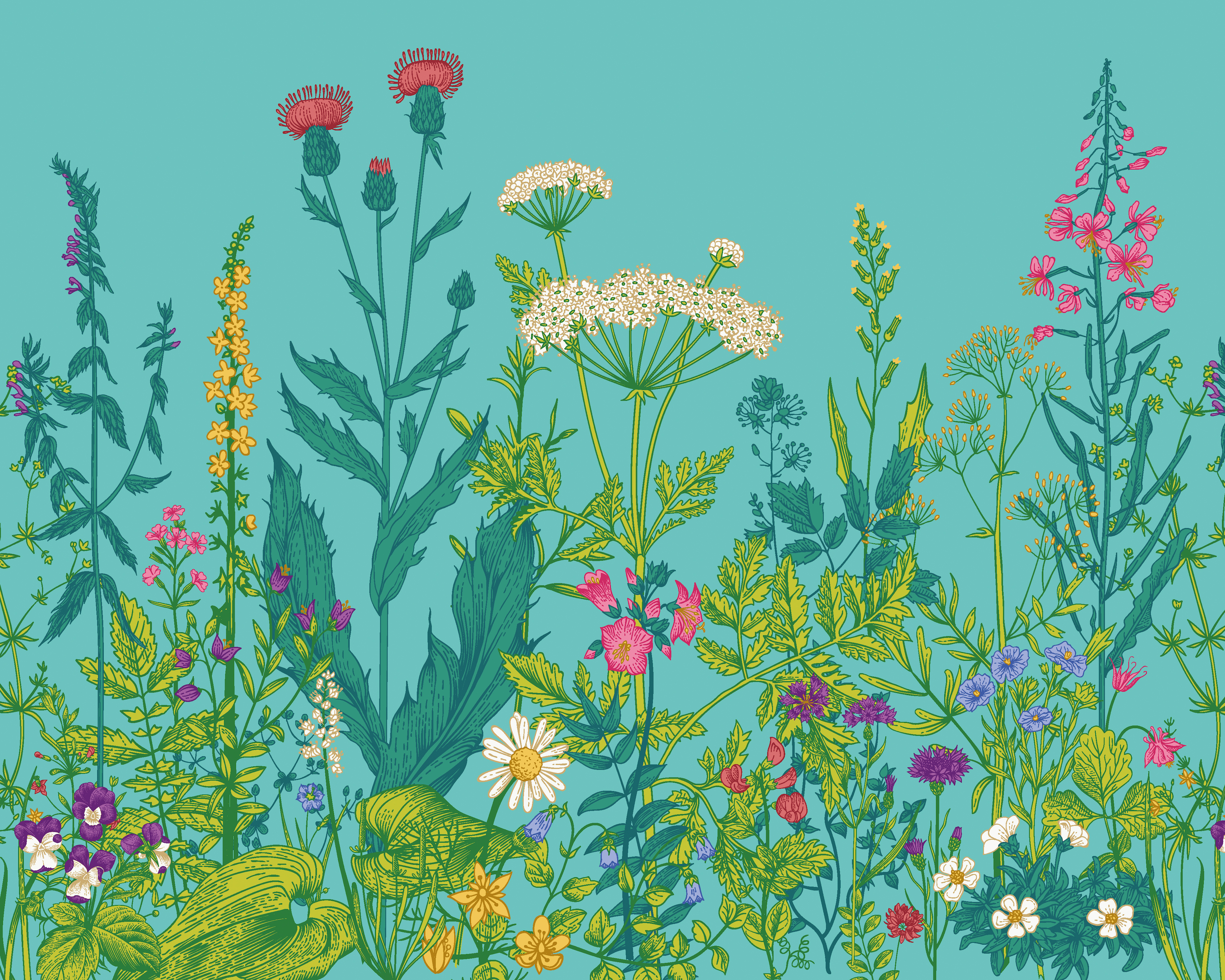 Image of Origin Murals Botanical Fleur Peacock Wall Mural - 3.5 x 2.8m