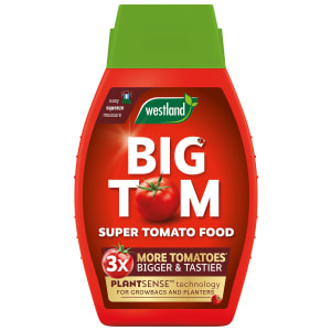 Westland Big Tom Super Tomato Food - 1L