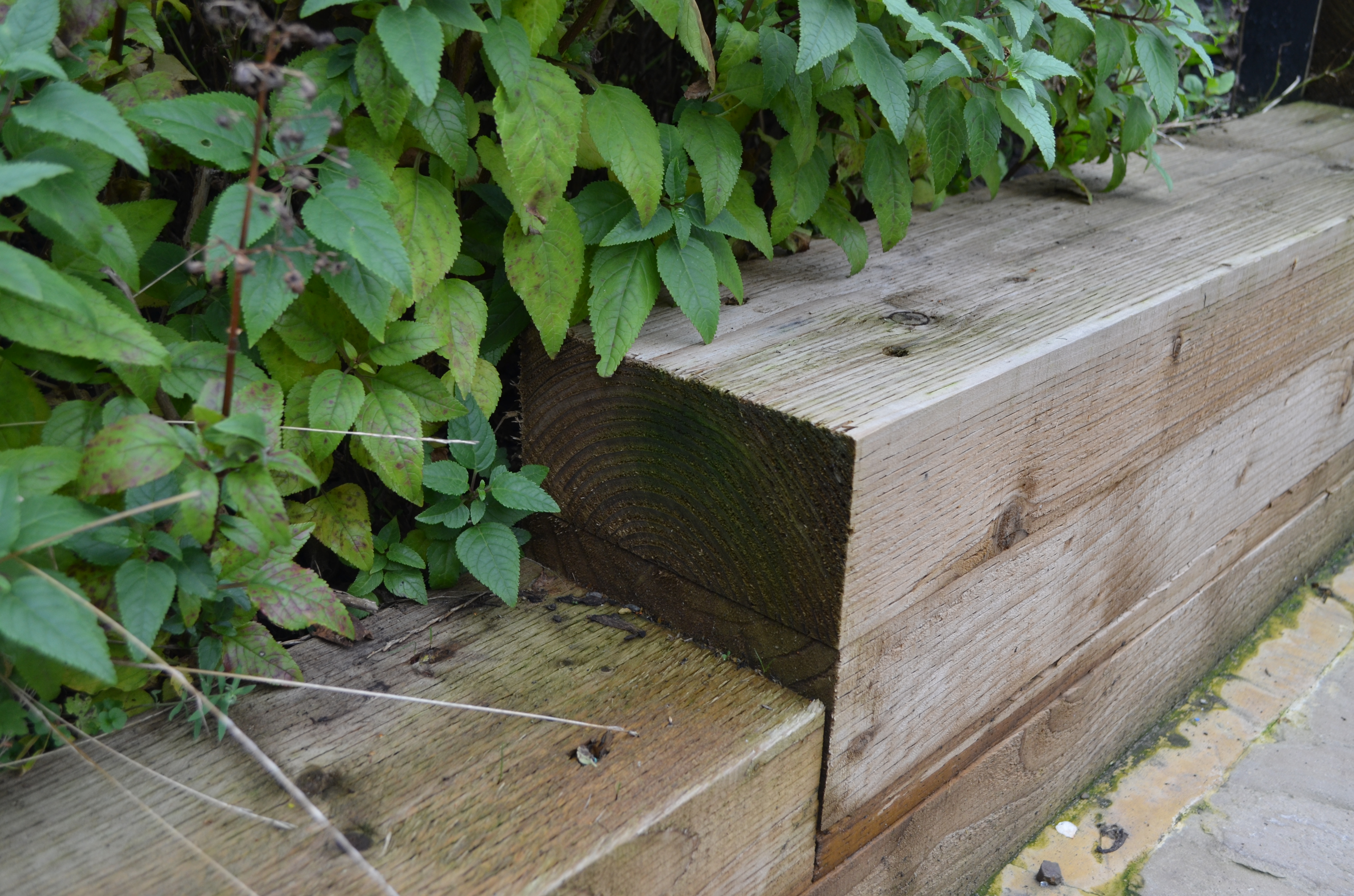Wickes Incised Light Green Garden Sleeper - 100 x 200mm x 2.4m