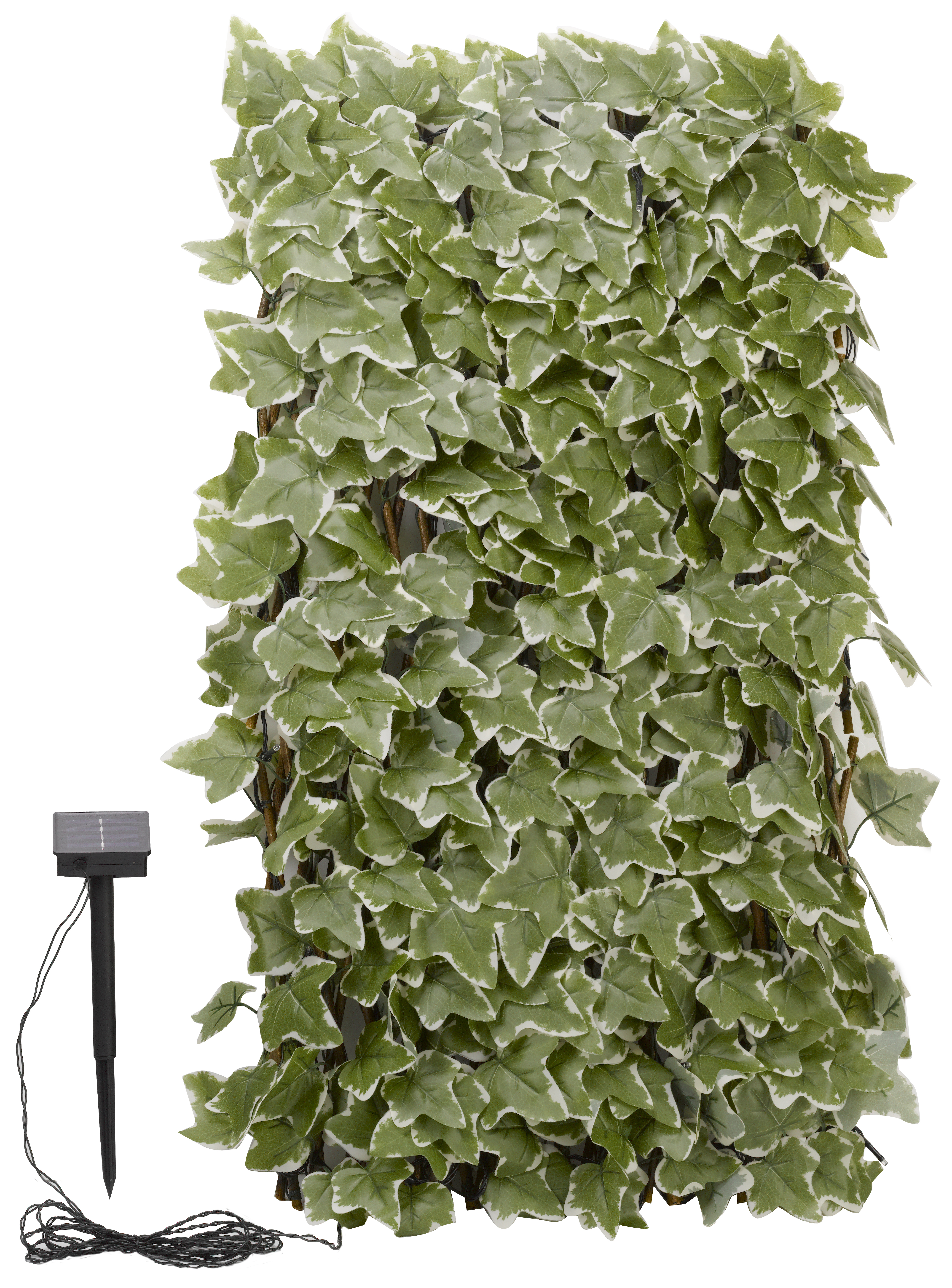Image of Smart Garden Ivy Leaf 75 LED Solar Trellis - 180 x 90cm