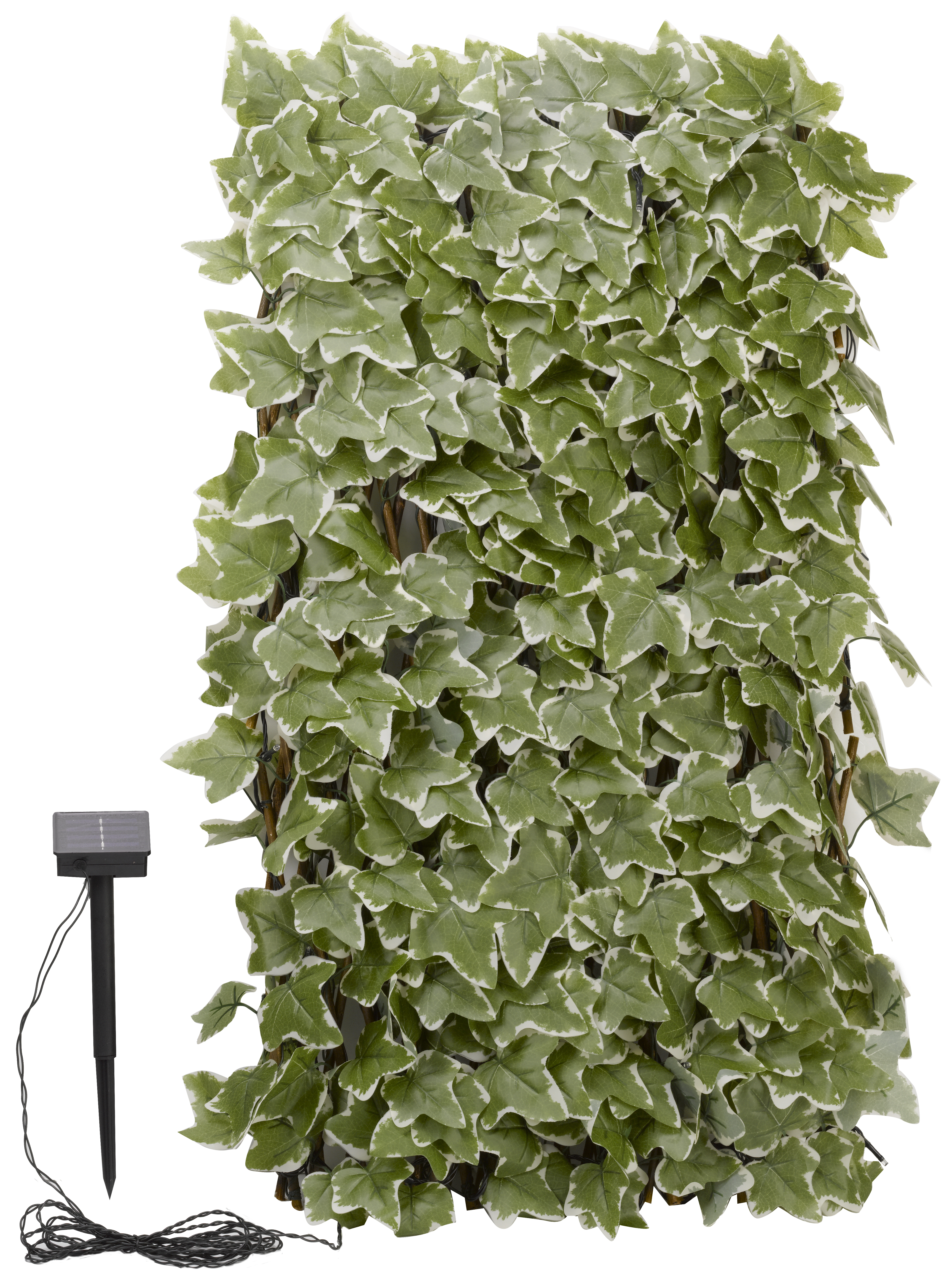 Smart Garden Ivy Leaf 75 LED Solar Trellis - 180 x 90cm