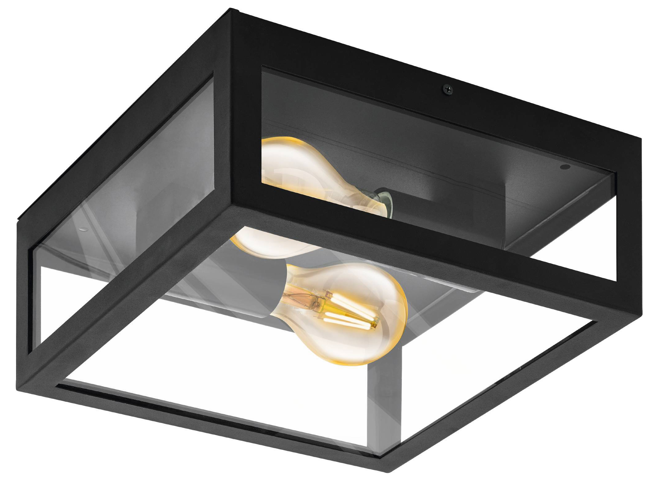 Image of Eglo Alamonte Outdoor Twin Ceiling Light - Black