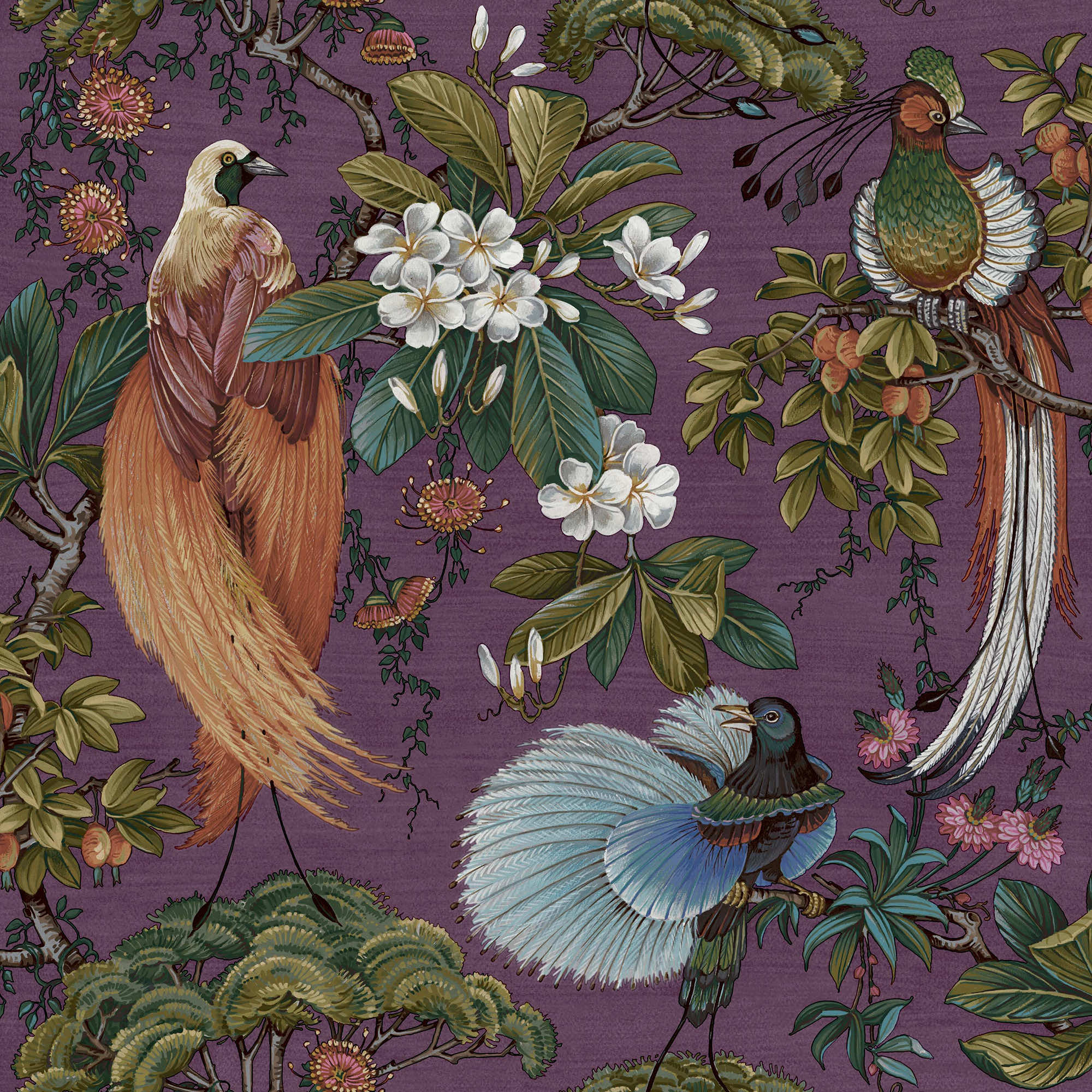 Holden Decor Songbird Plum Wallpaper - 10.05m x 53cm