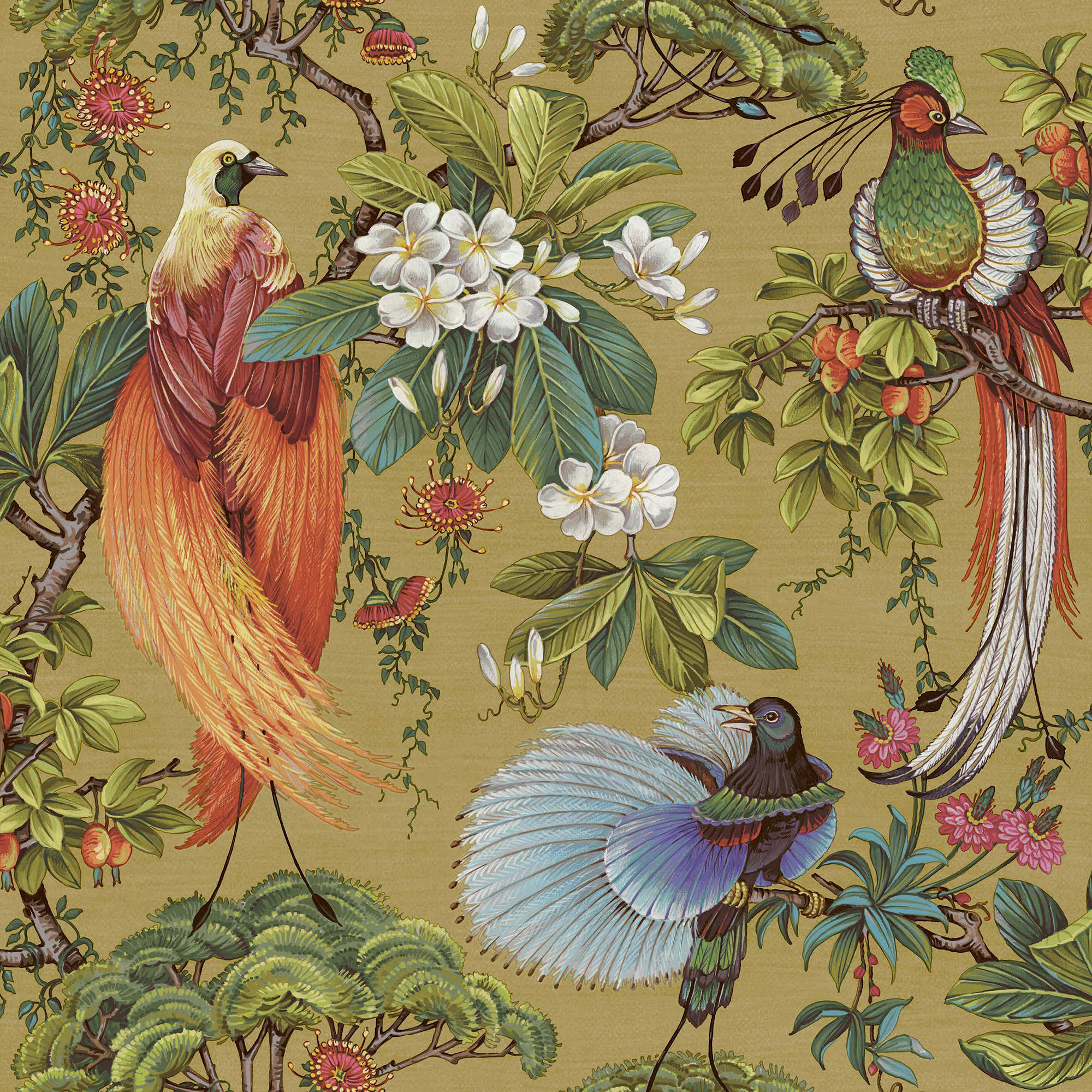 Image of Holden Decor Songbird Ochre Wallpaper - 10.05m x 53cm