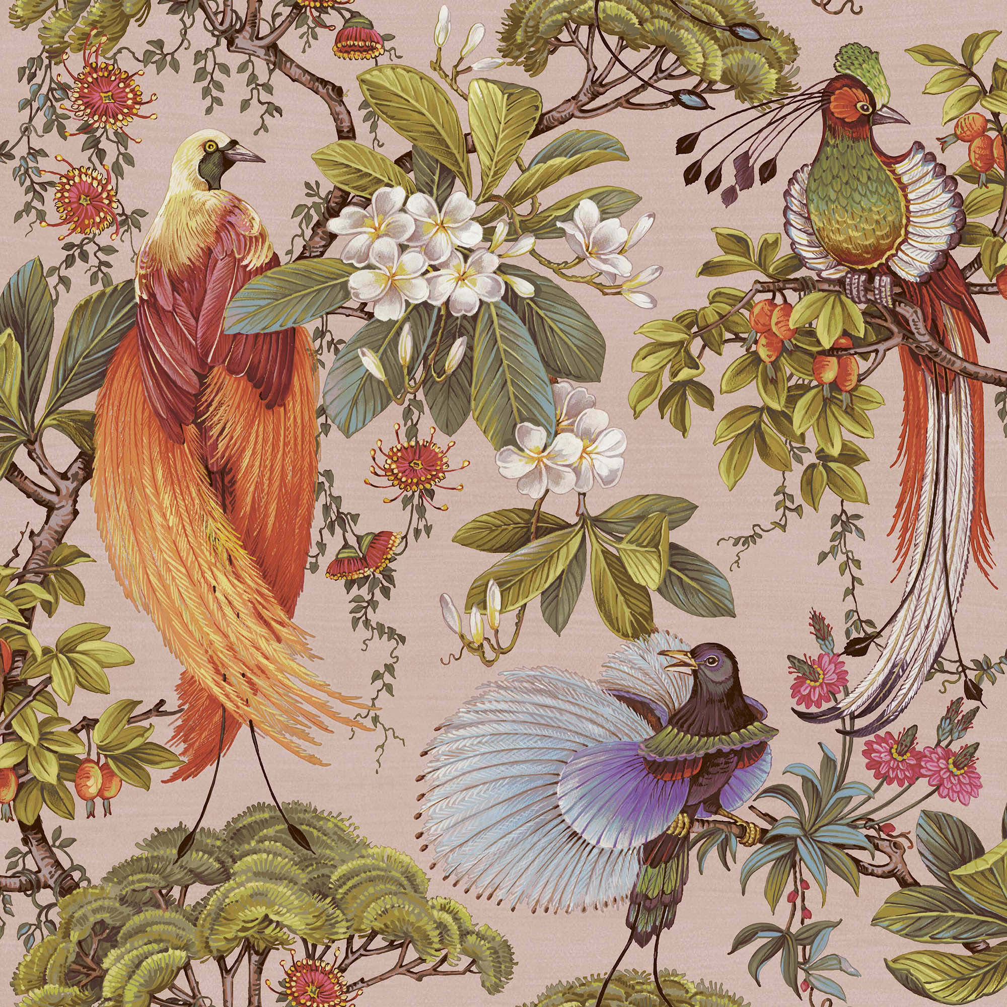 Image of Holden Decor Songbird Pink Wallpaper - 10.05m x 53cm