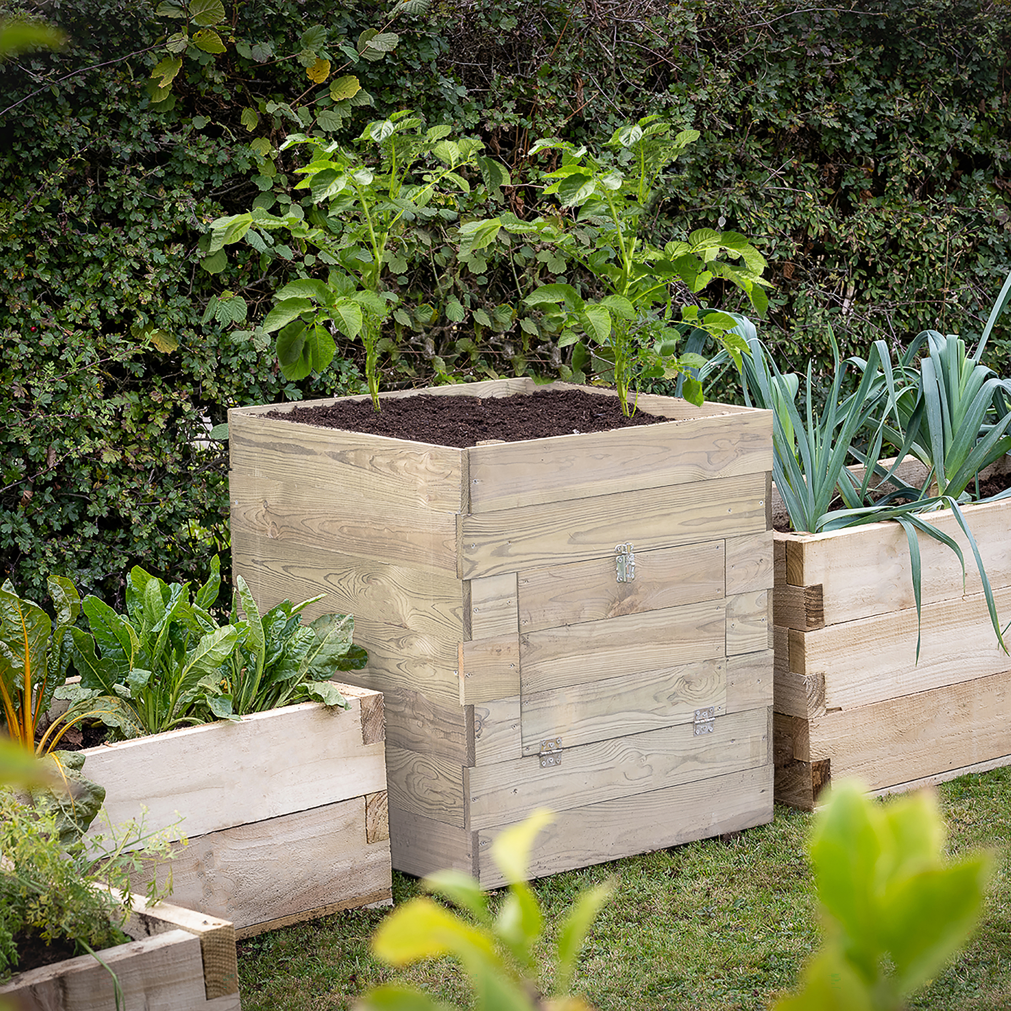 Forest Garden Potato Planter - 600 x 600 x 695mm