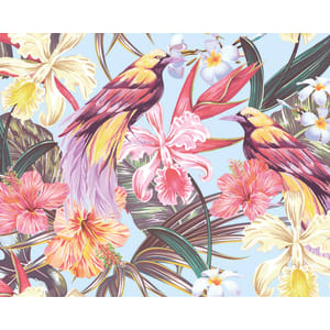 Origin Murals Birds And Flowers Multi Wall Mural - 3 x 2.4m