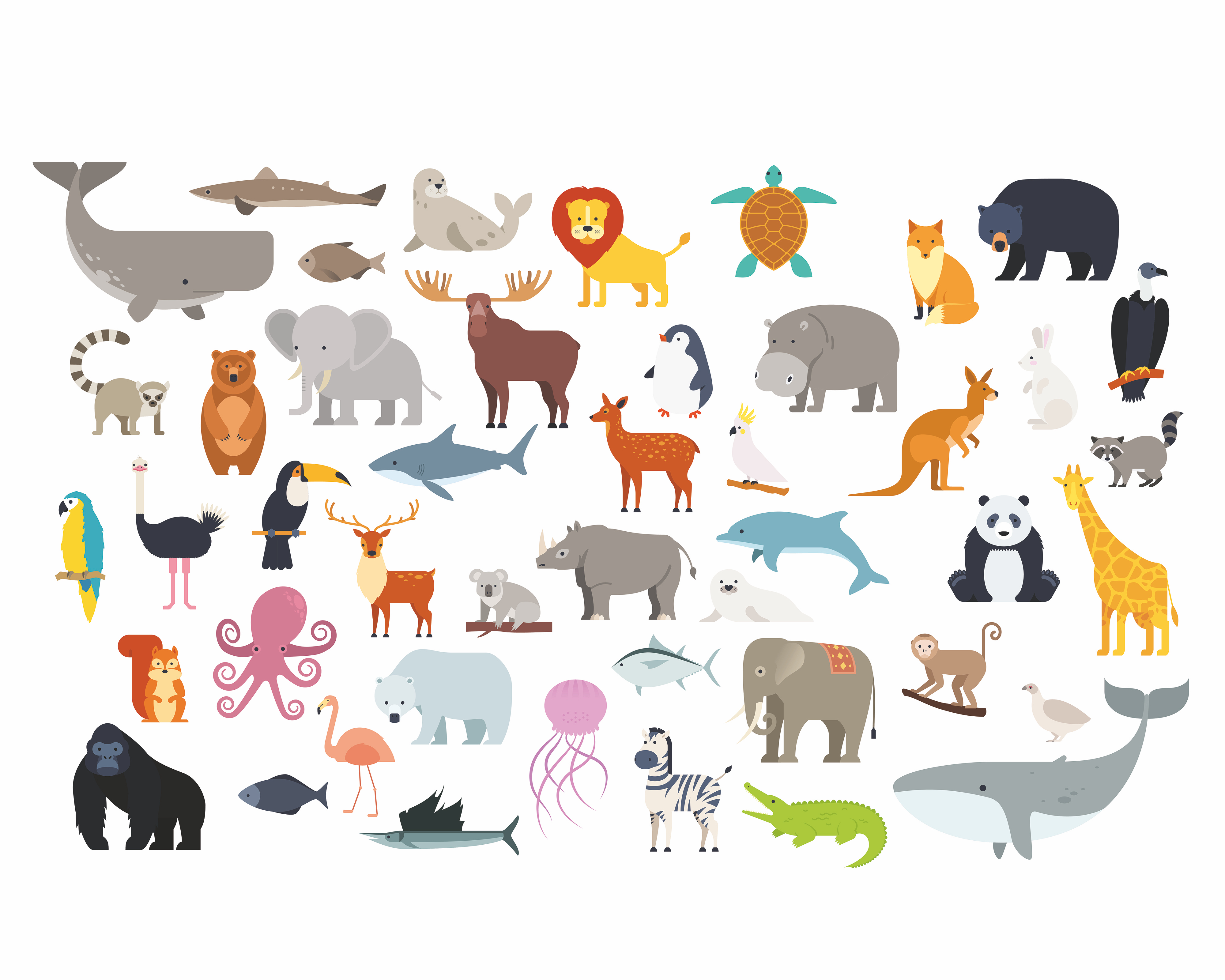 Image of Origin Murals Animal Collection Multi Wall Mural - 3 x 2.4m