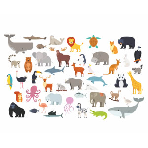Image of Origin Murals Animal Collection Multi Wall Mural - 3 x 2.4m