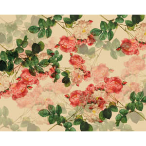 Origin Murals Classic Rose Design Natural Wall Mural - 3.5 x 2.8m