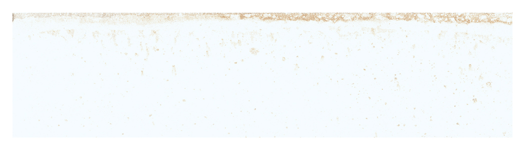 Wickes Boutique Wisteria Rustic White Gloss Ceramic Wall Tile 300x75mm - Cut Sample