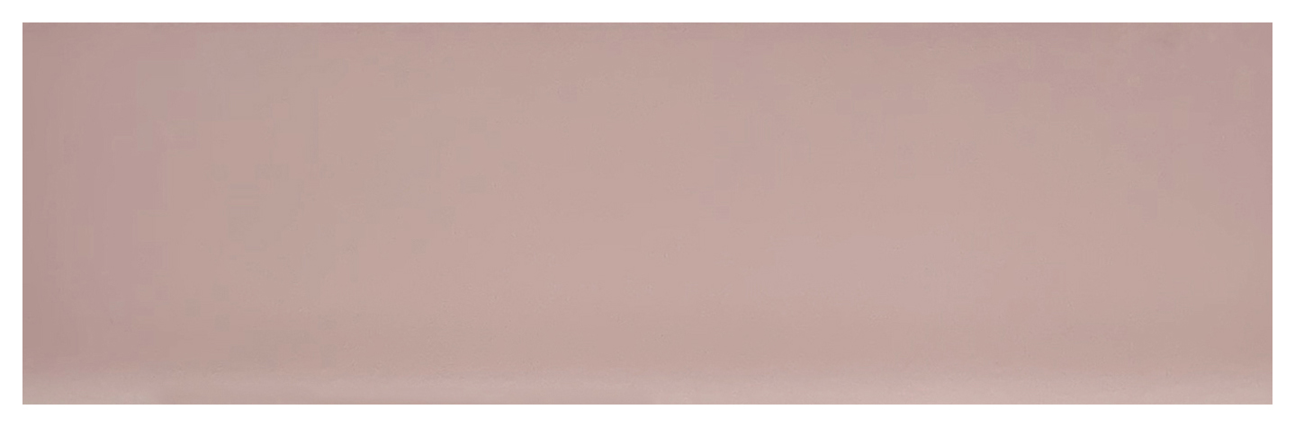 Wickes Boutique Richmond Blossom Gloss Ceramic Wall Tile 245x75mm - Cut Sample