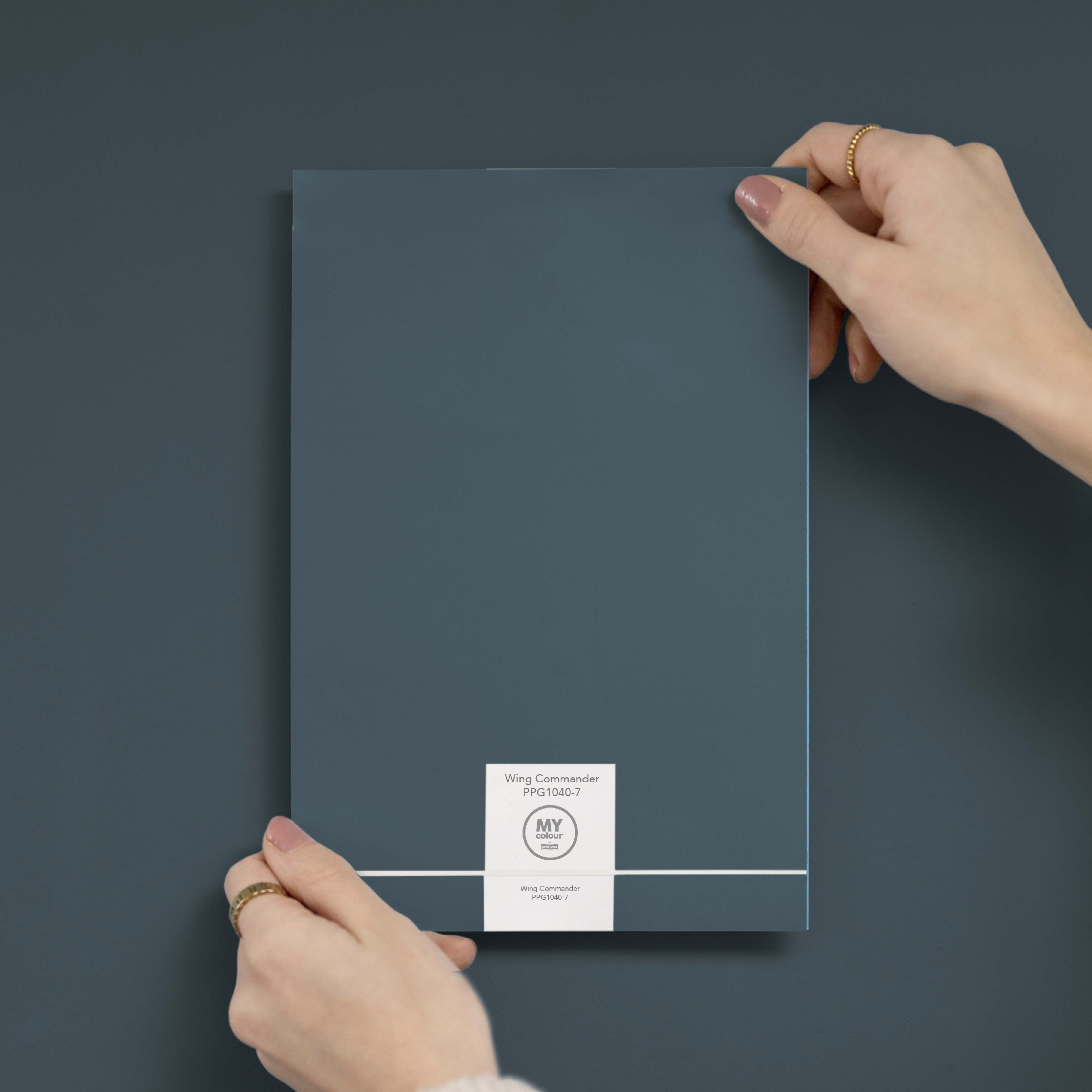 MY colour by Johnstone's - Peel & Stick Colour Testers - Wing Commander