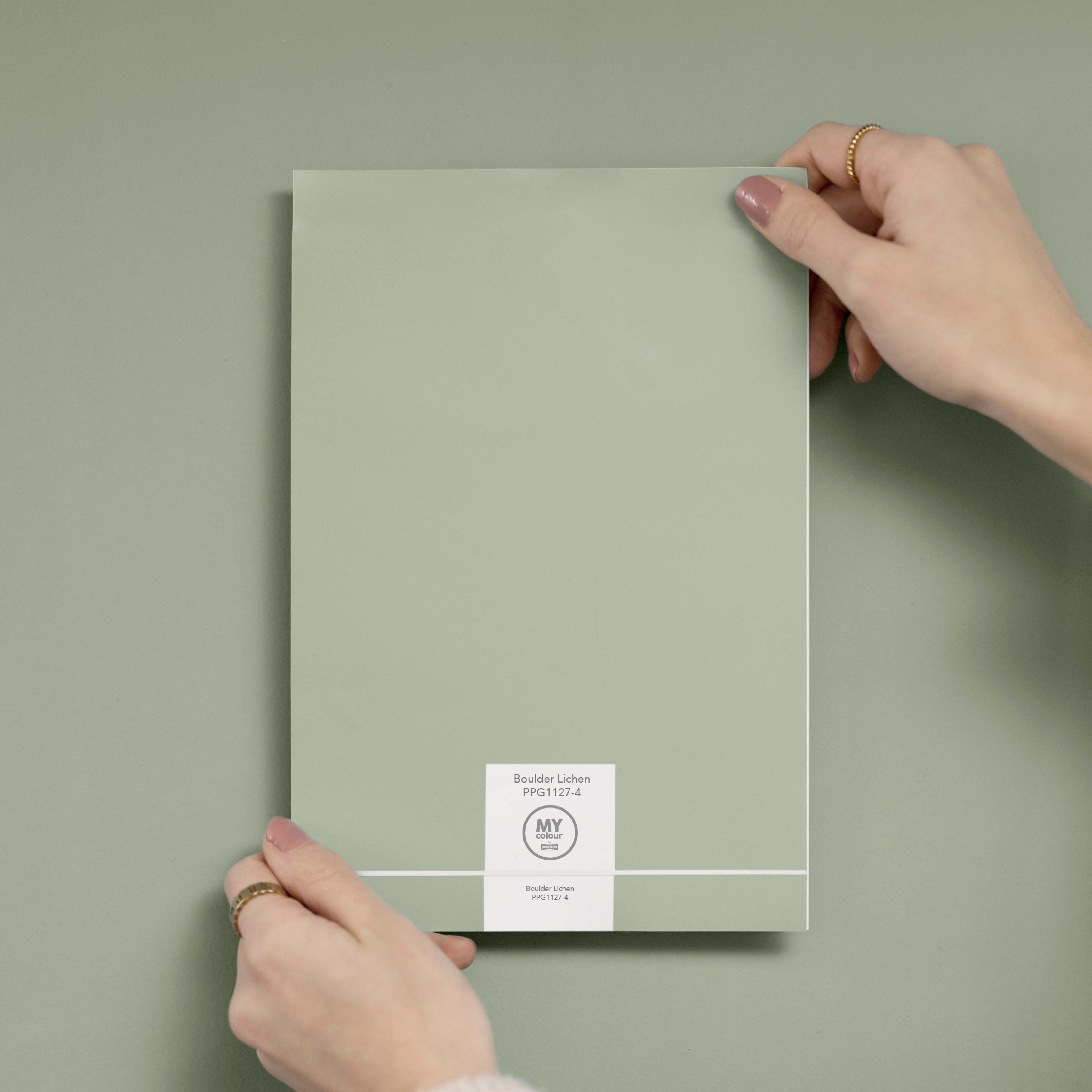 MY colour by Johnstone's - Peel & Stick Colour Testers - Boulder Lichen