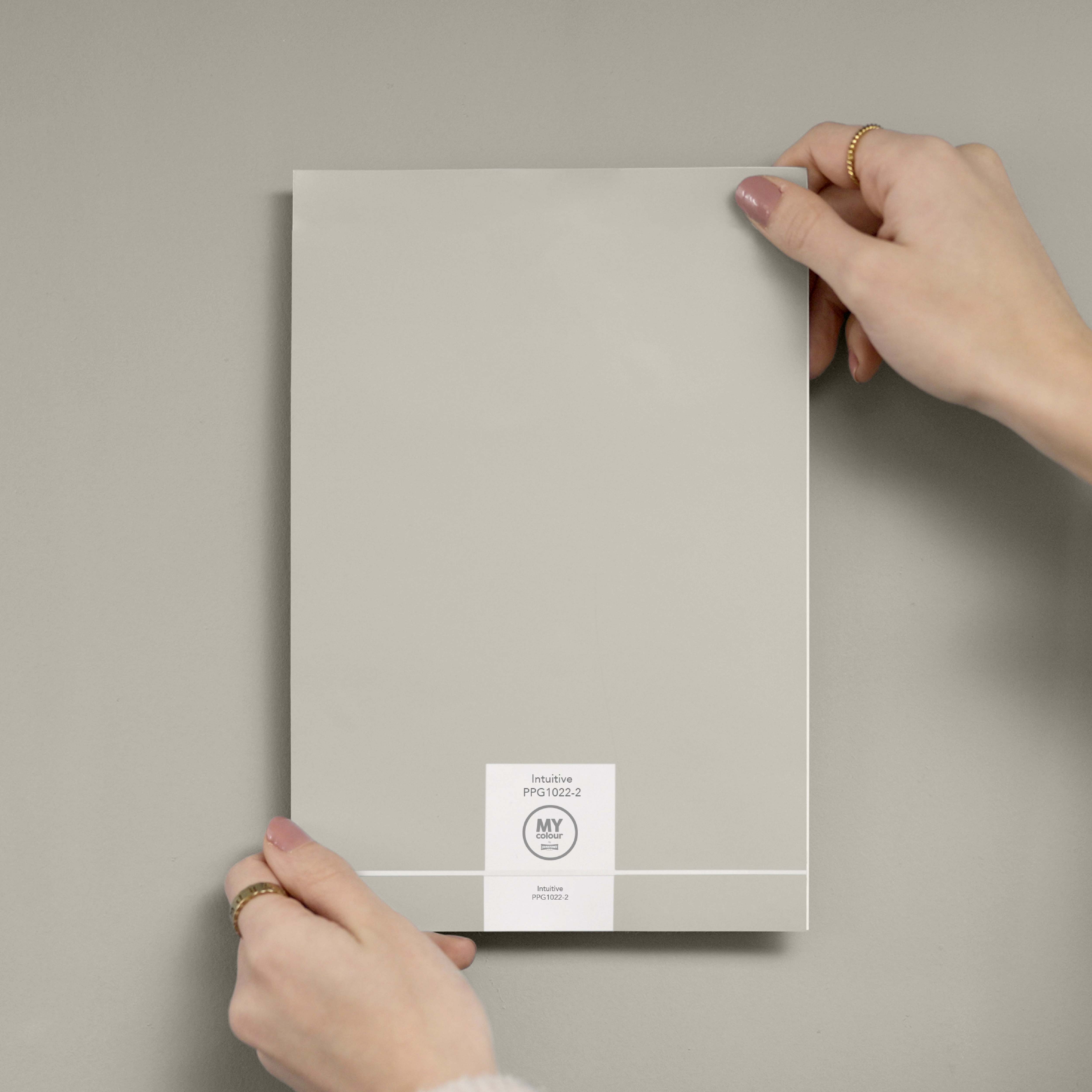 MY colour by Johnstone's - Peel & Stick Colour Testers - Intuitive