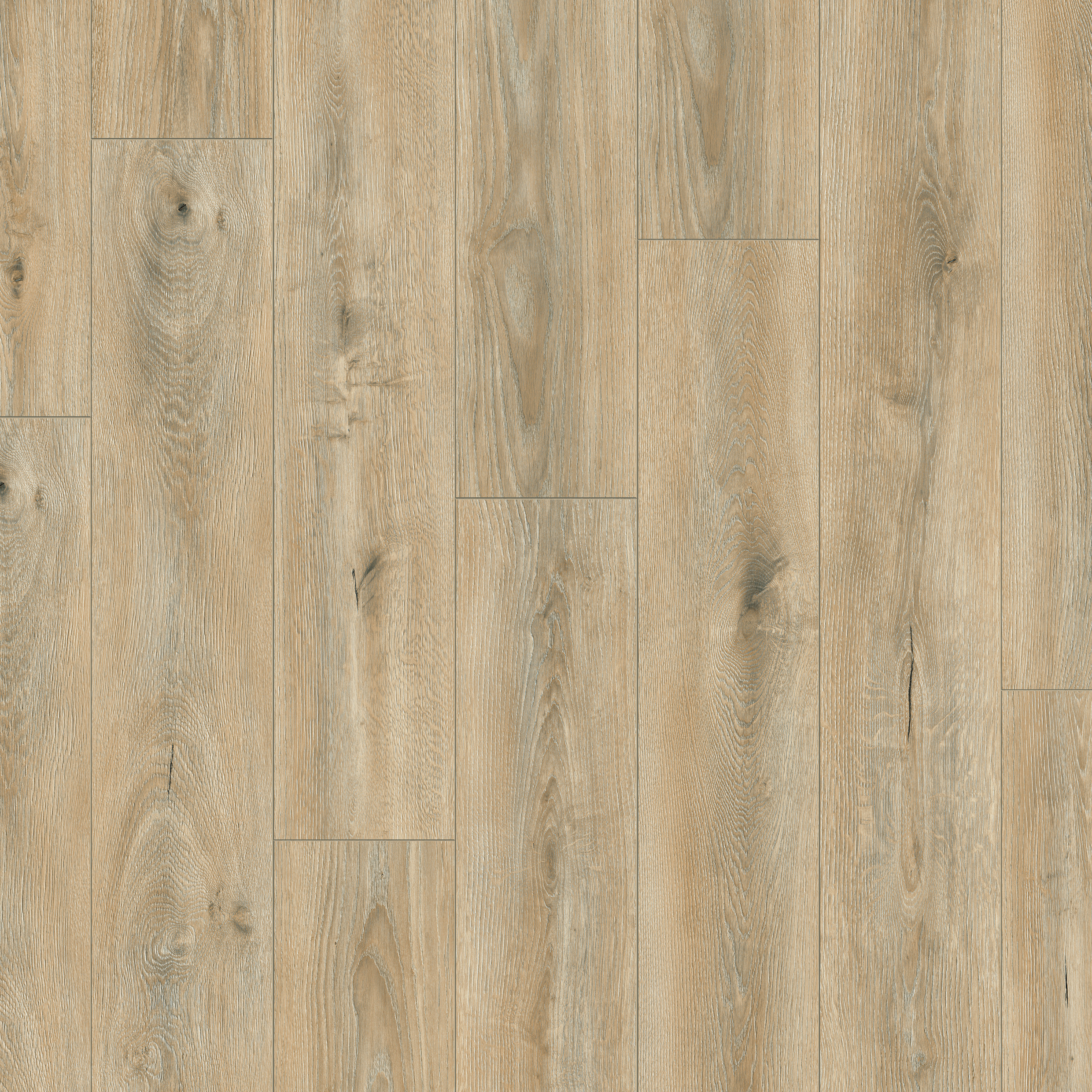 Tortilla Cashmere Oak Pure+ 8mm Moisture Resistant Laminate