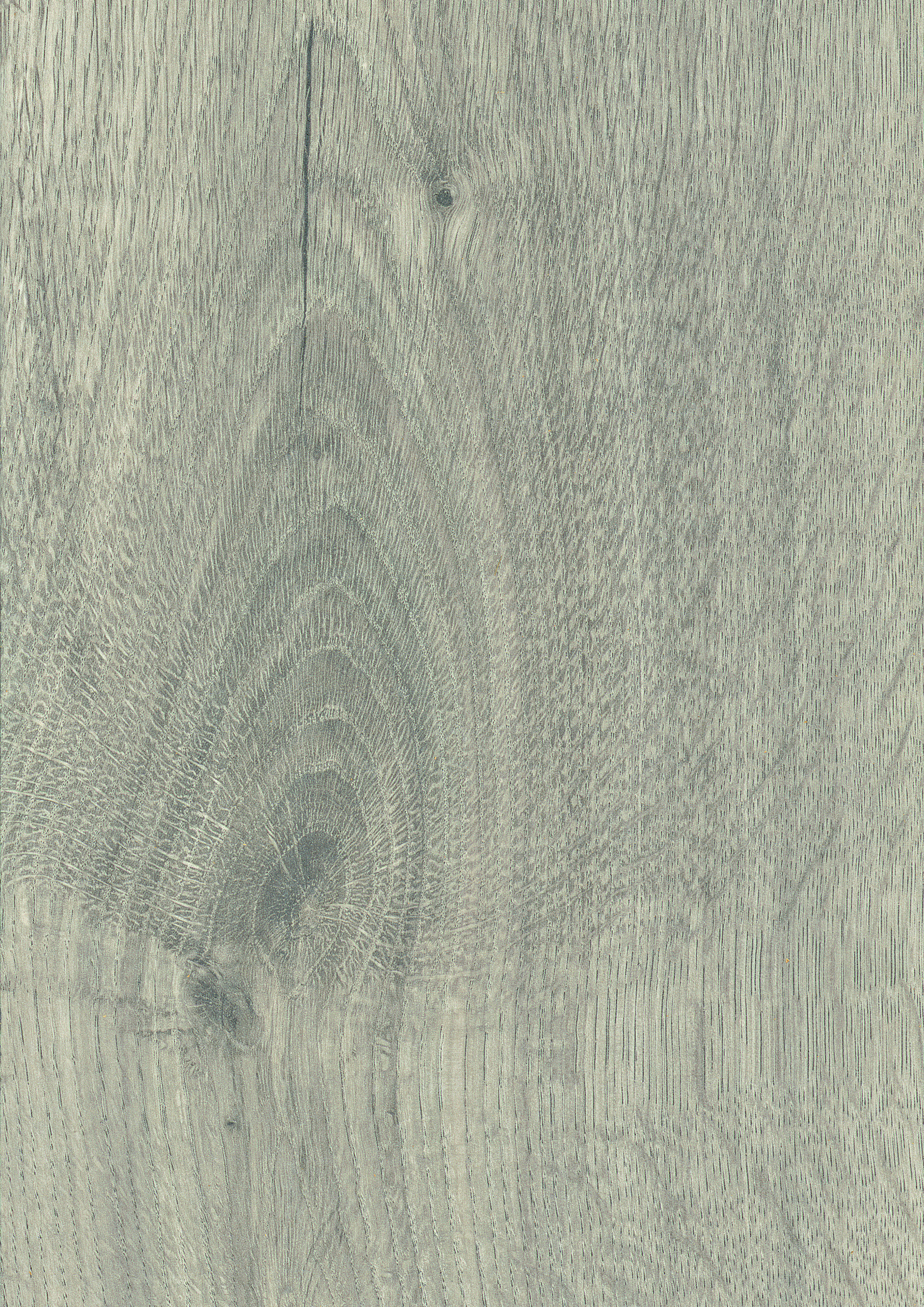 Silverdale Oak Pure+ 8mm Laminate Flooring - Sample