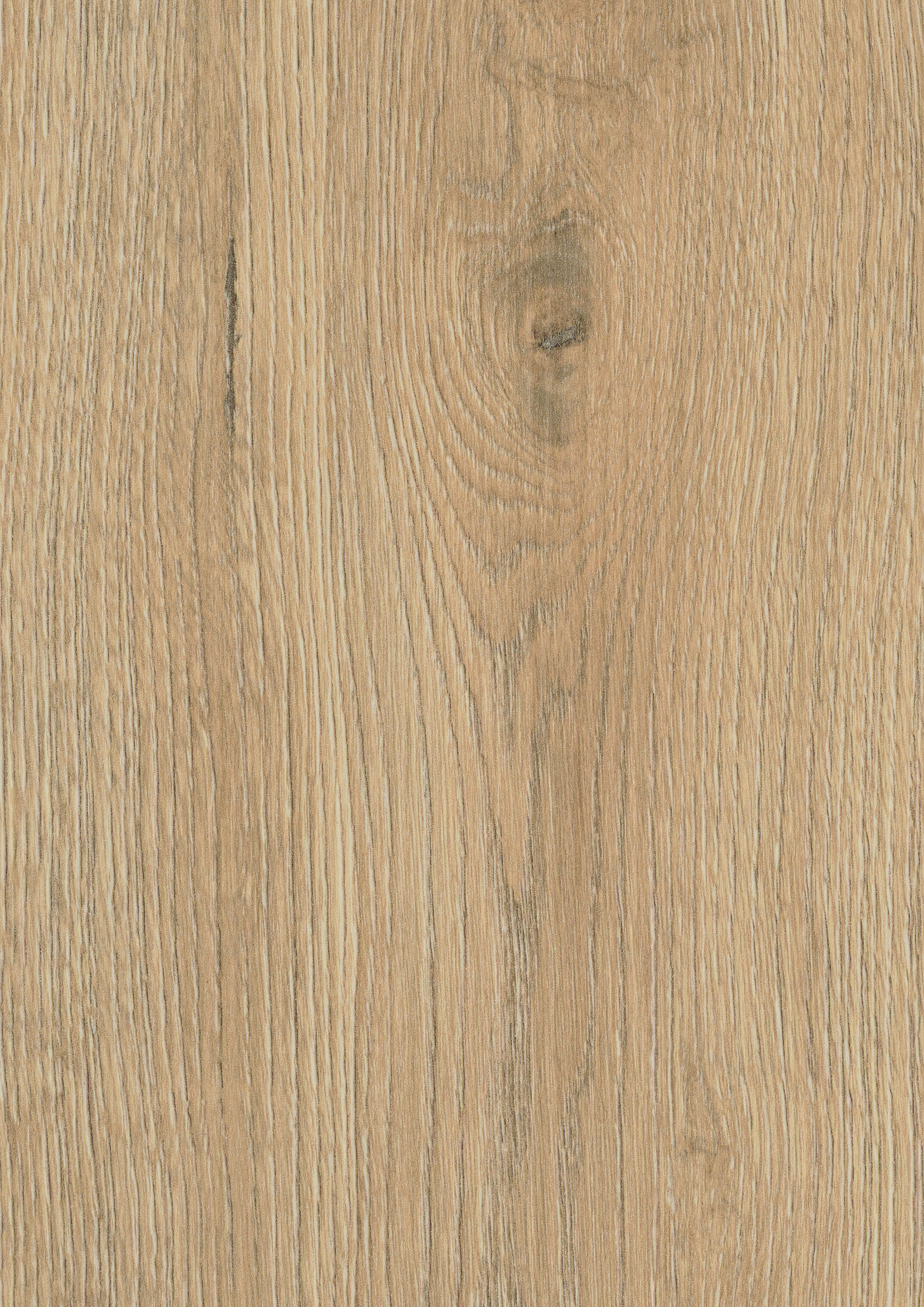 Tortilla Cashmere Oak Pure+ 8mm Laminate Flooring - Sample