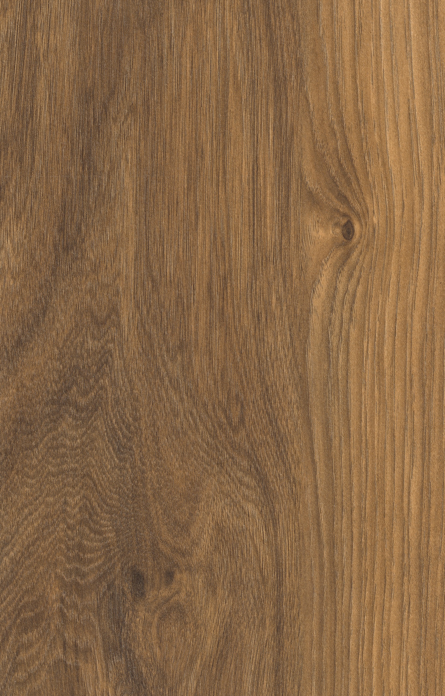 Appalachian Hickory Pure+ 10mm Laminate Flooring - Sample