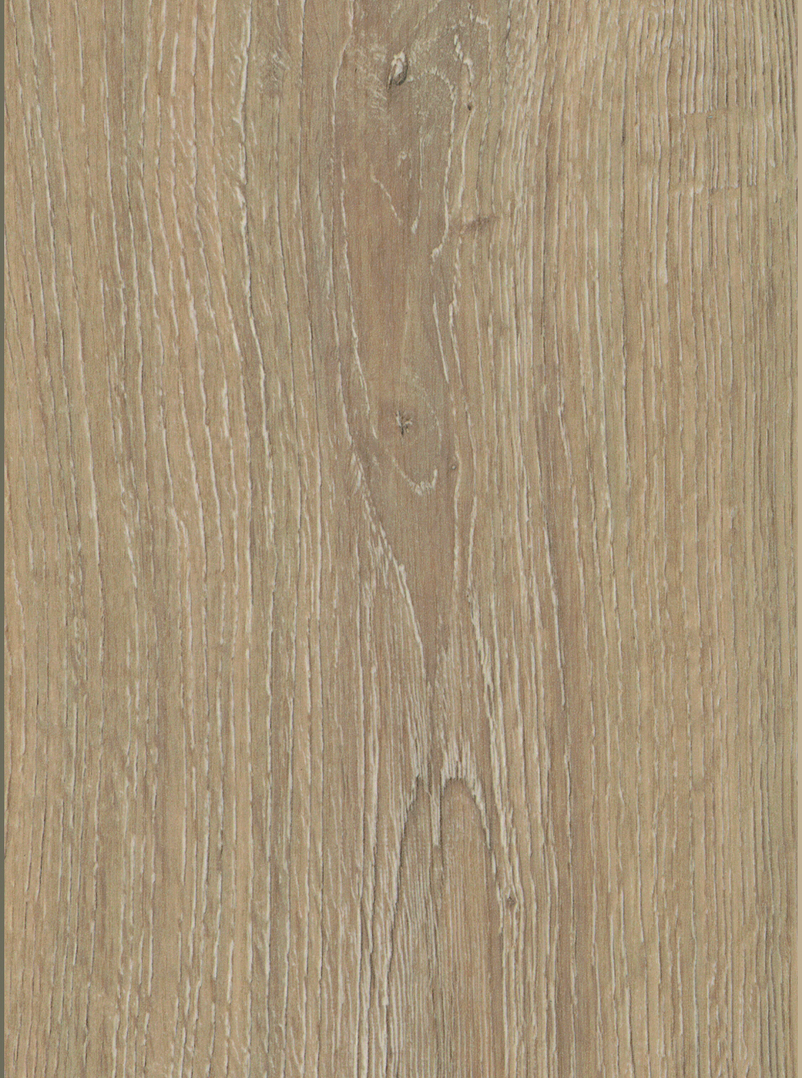 Ashbury Light Oak 12mm Moisture Resistant Laminate Flooring - Sample