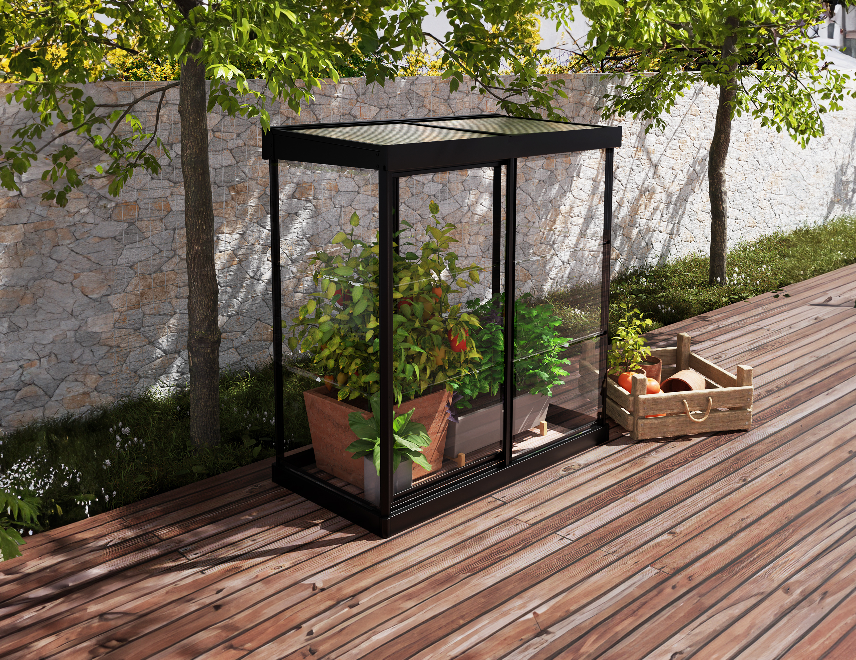 Palram Canopia Black Ivy Miniture Greenhouse - 4 x 2ft