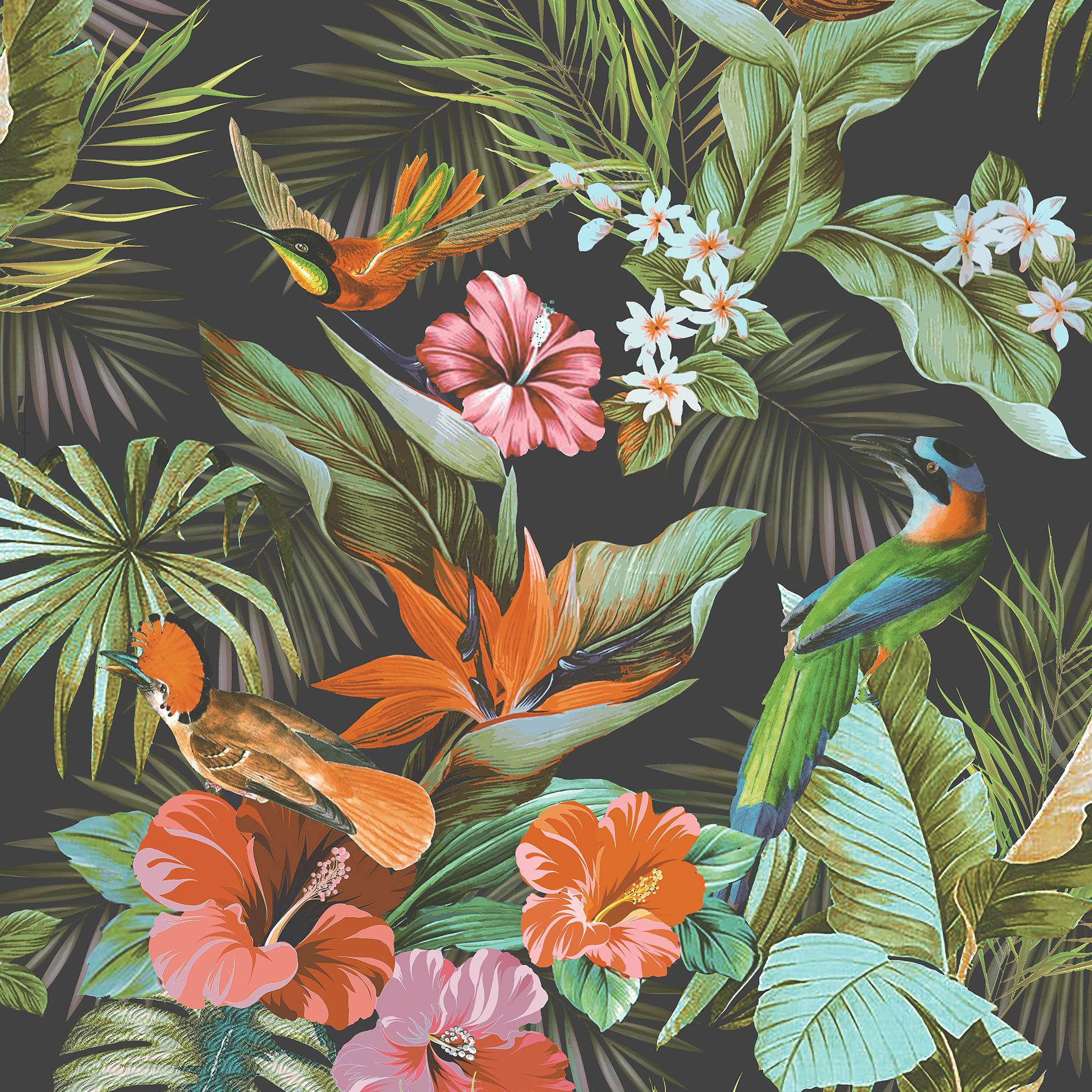 Rasch Paradise Birds Black & Multi Wallpaper - 10m