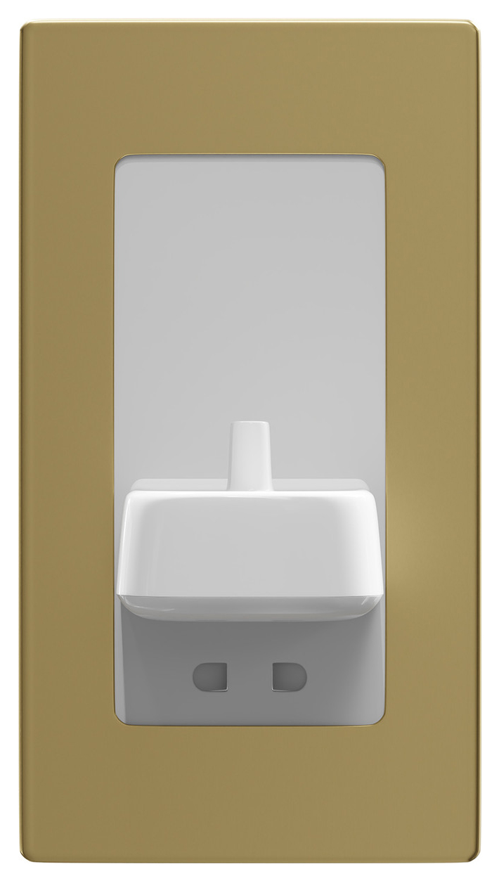 Proofvision In-Wall White Electric Toothbrush Charger & Shaver Socket - Brushed Brass