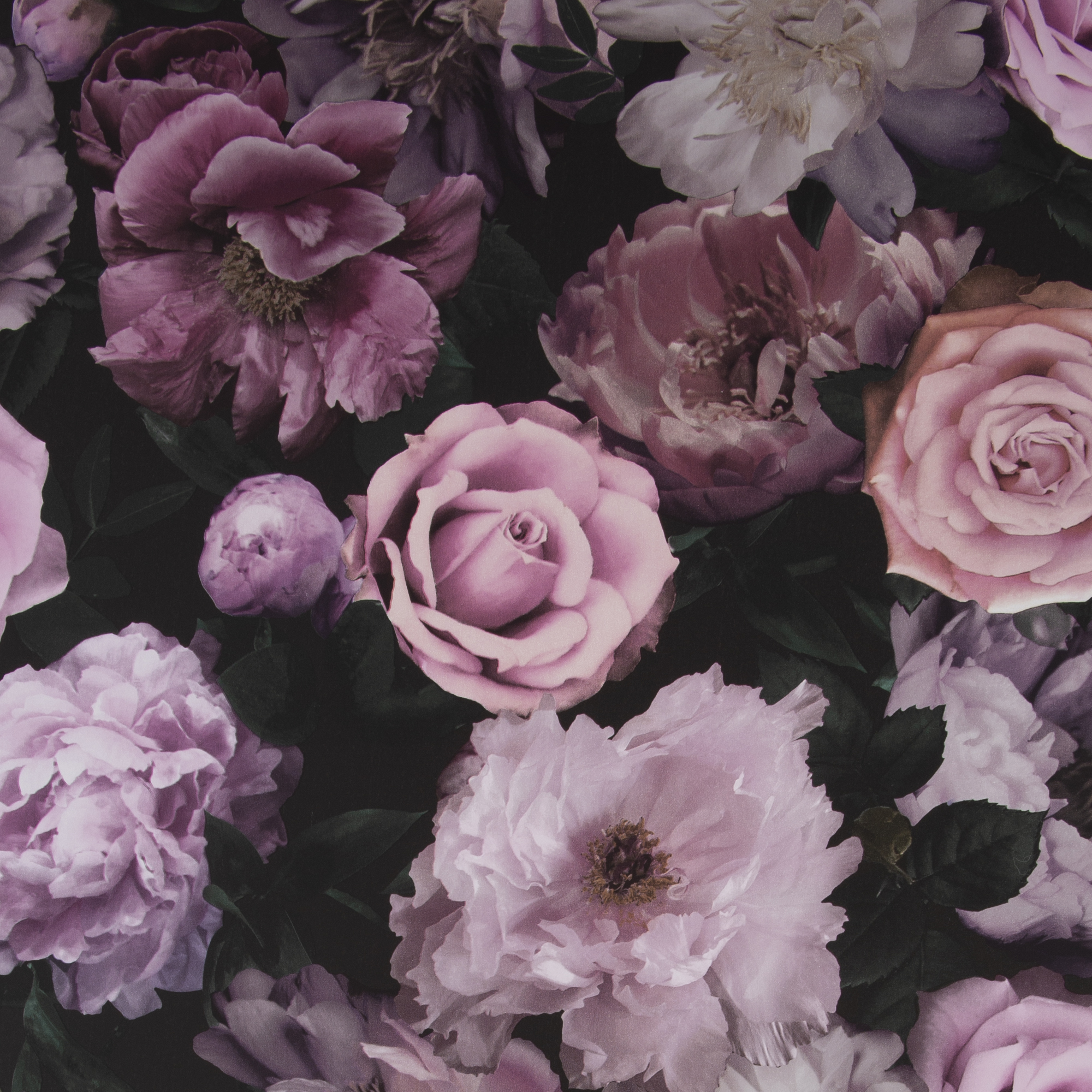 Fresco Pandora Drama Pink Wallpaper Sample