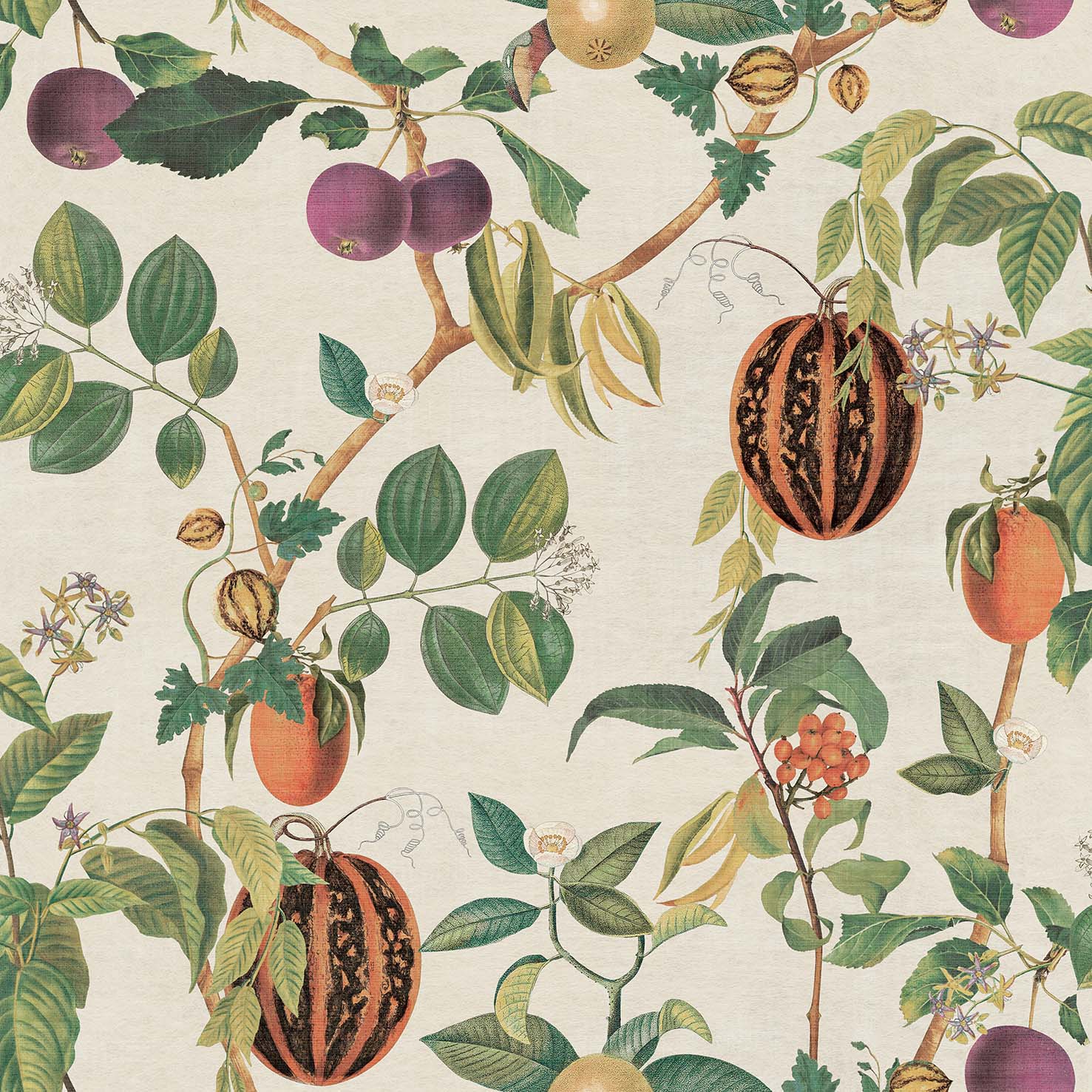 Esselle Home Tropic House Parchment/Green Wallpaper